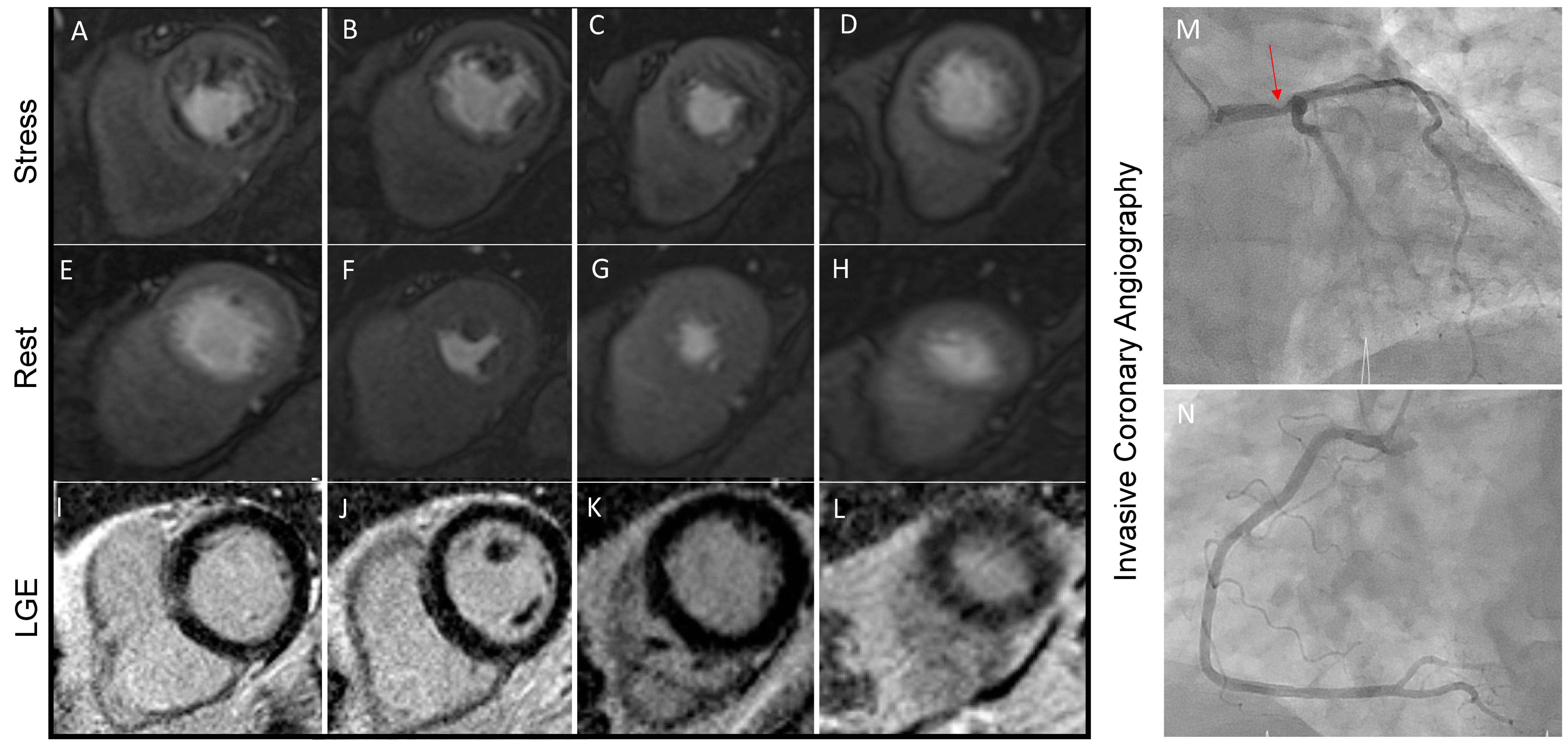 Diagnostics 13 02083 g003