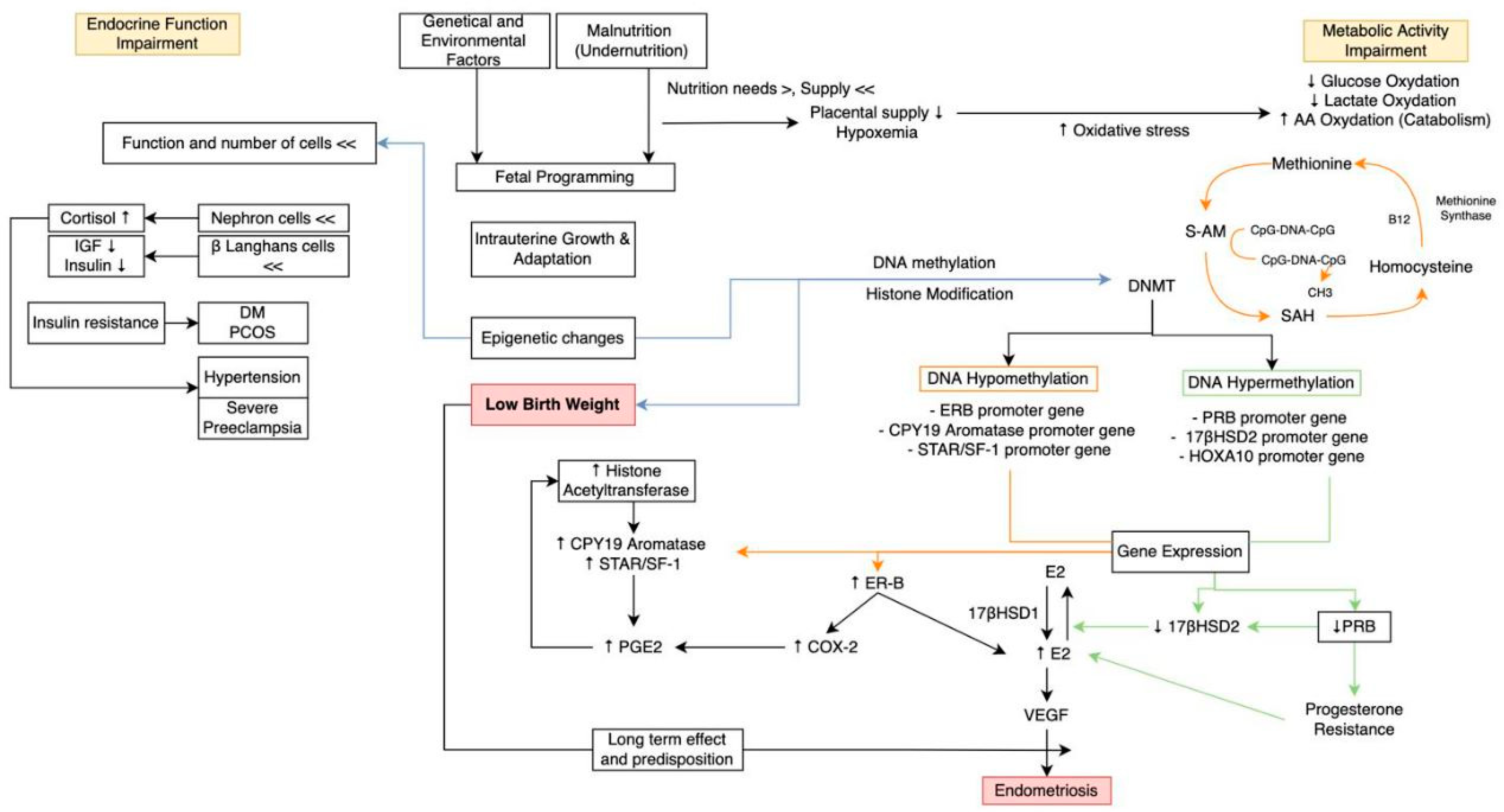 Diagnostics 13 02085 g002