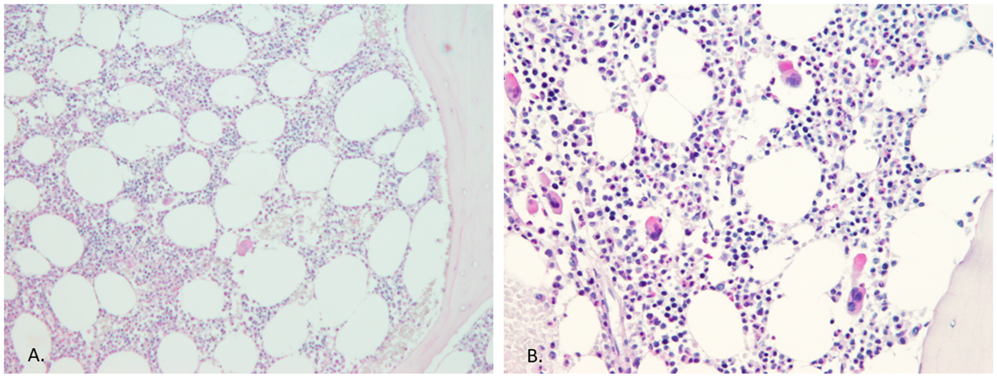 Diagnostics 13 02086 g001