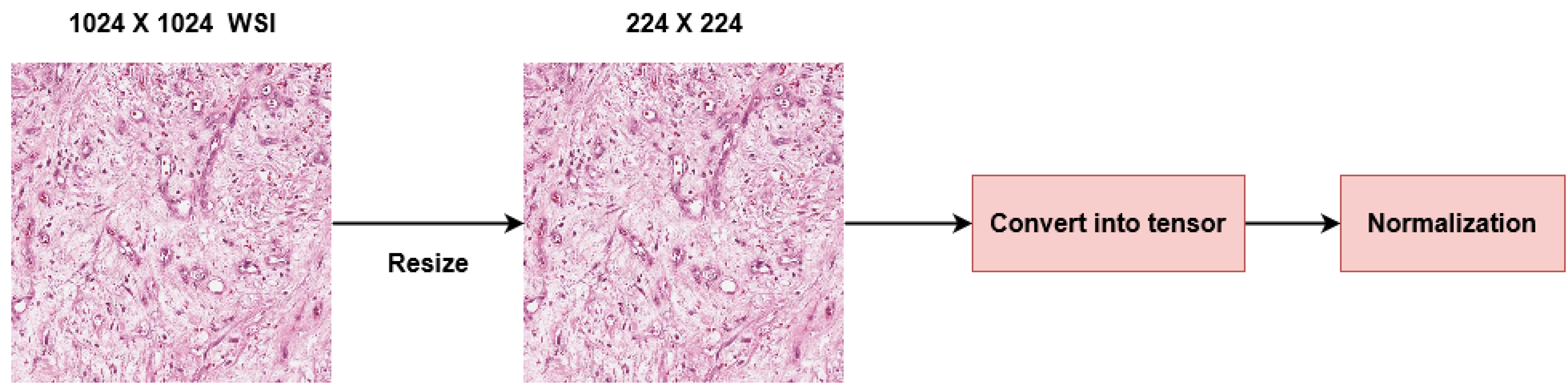 Diagnostics 13 02106 g003