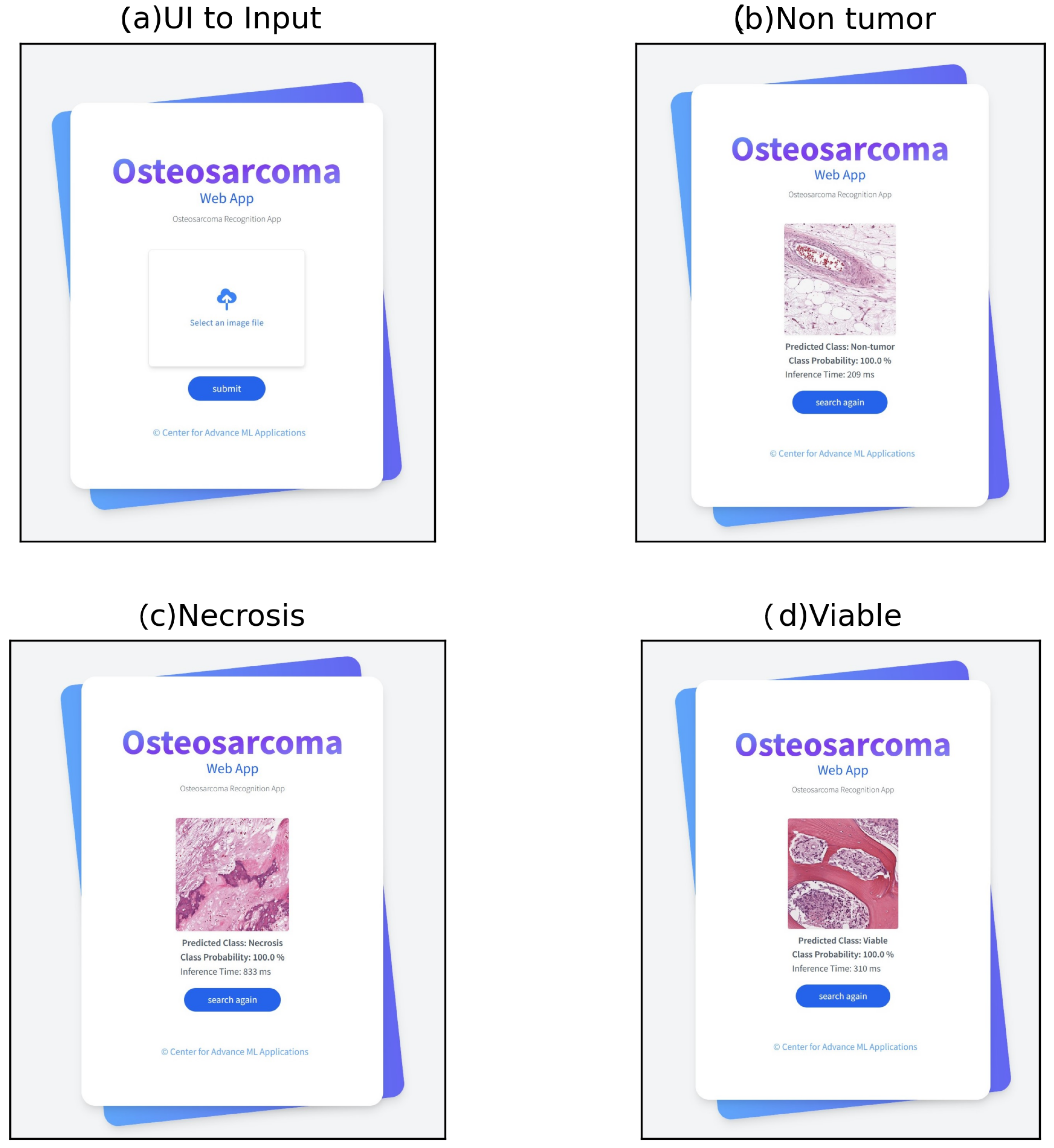 Diagnostics 13 02106 g009