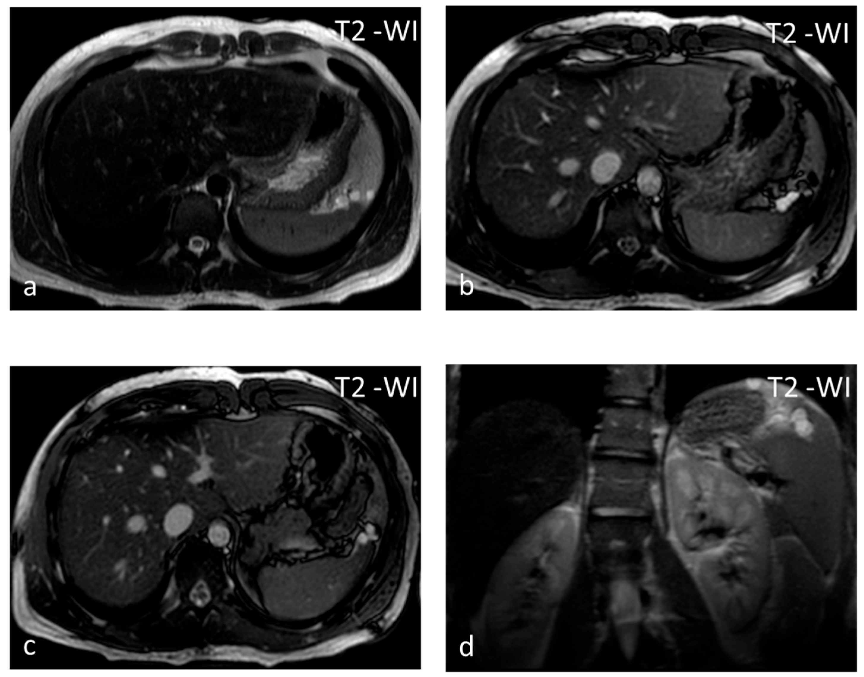Diagnostics 13 02120 g003