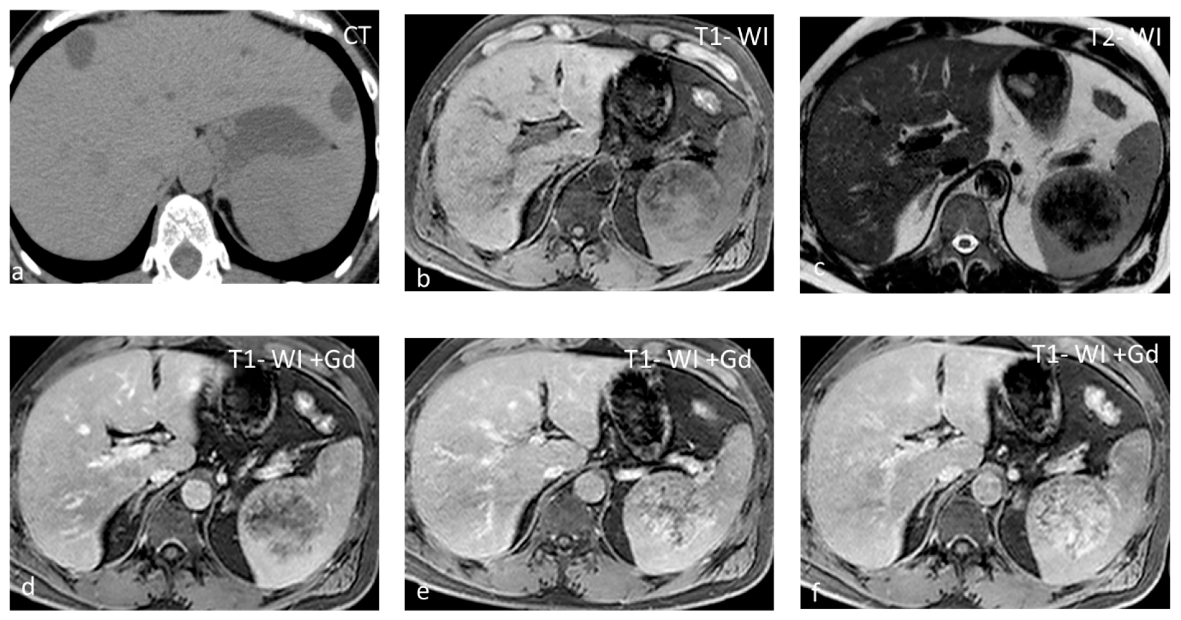 Diagnostics 13 02120 g007