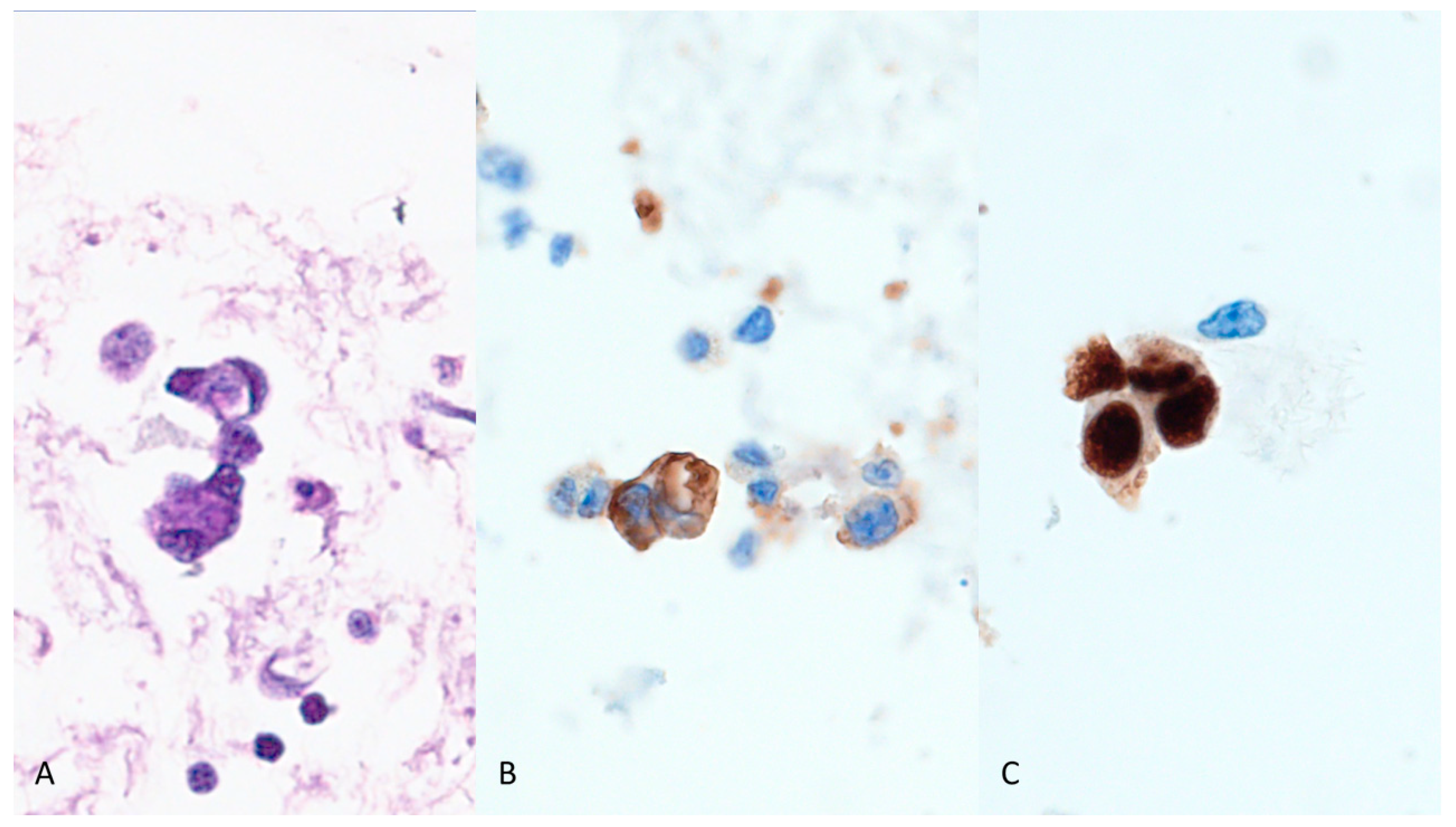Diagnostics 13 02124 g003