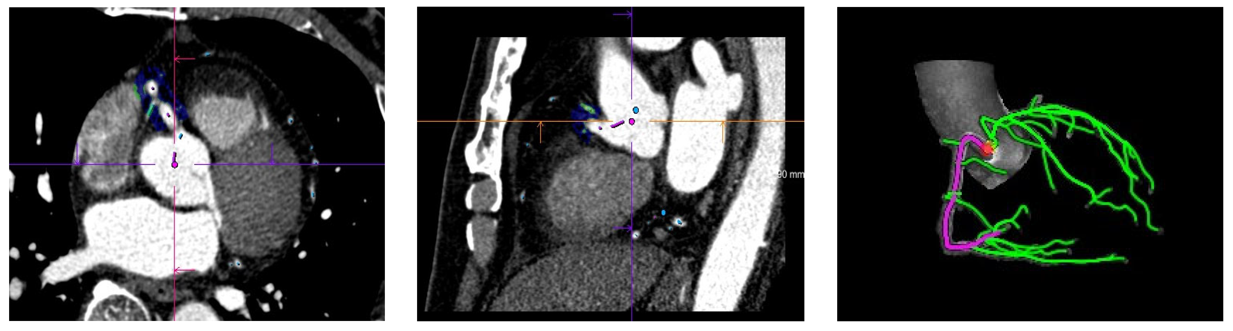 Diagnostics 13 02136 g001