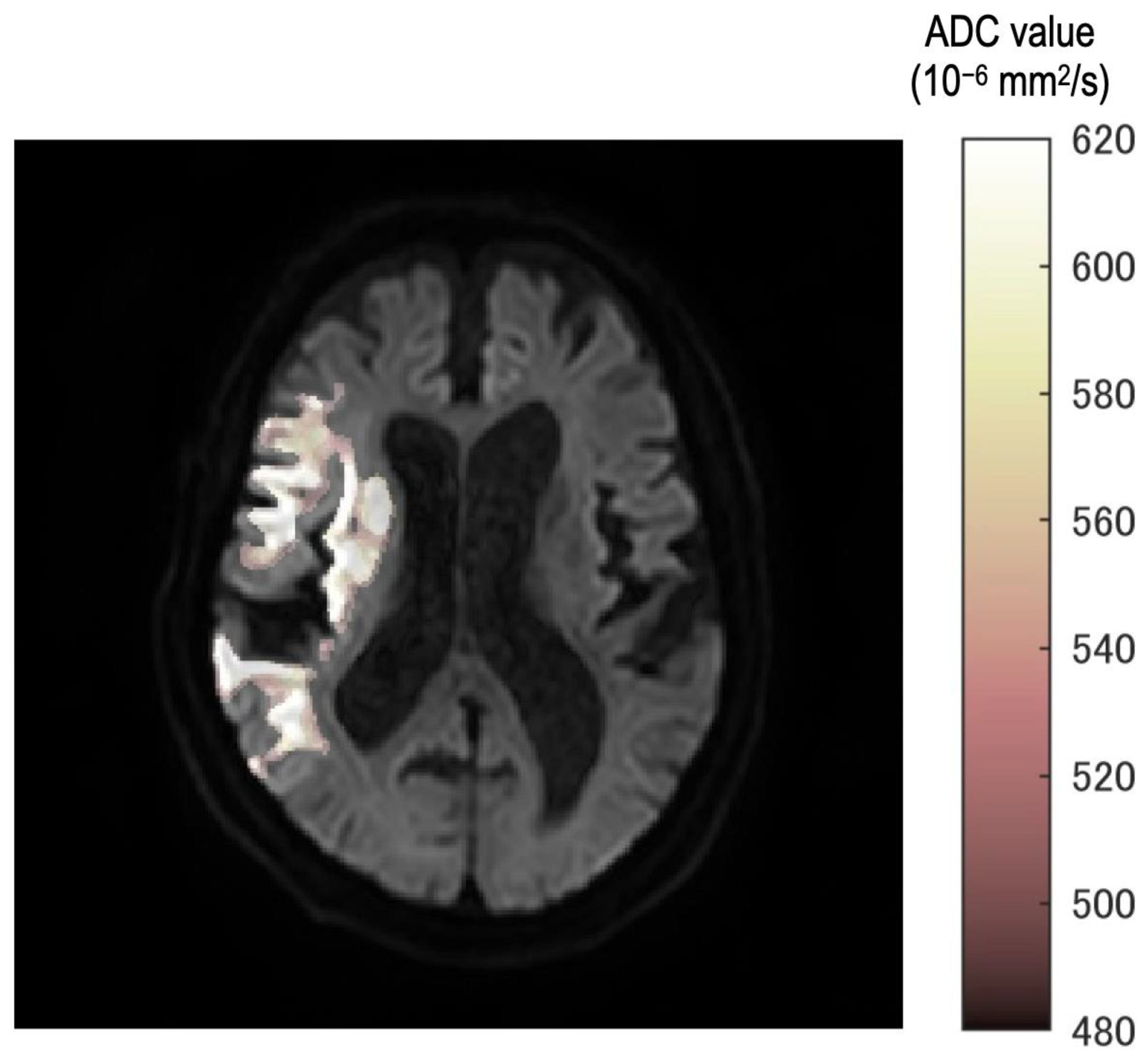 Diagnostics 13 02138 g002