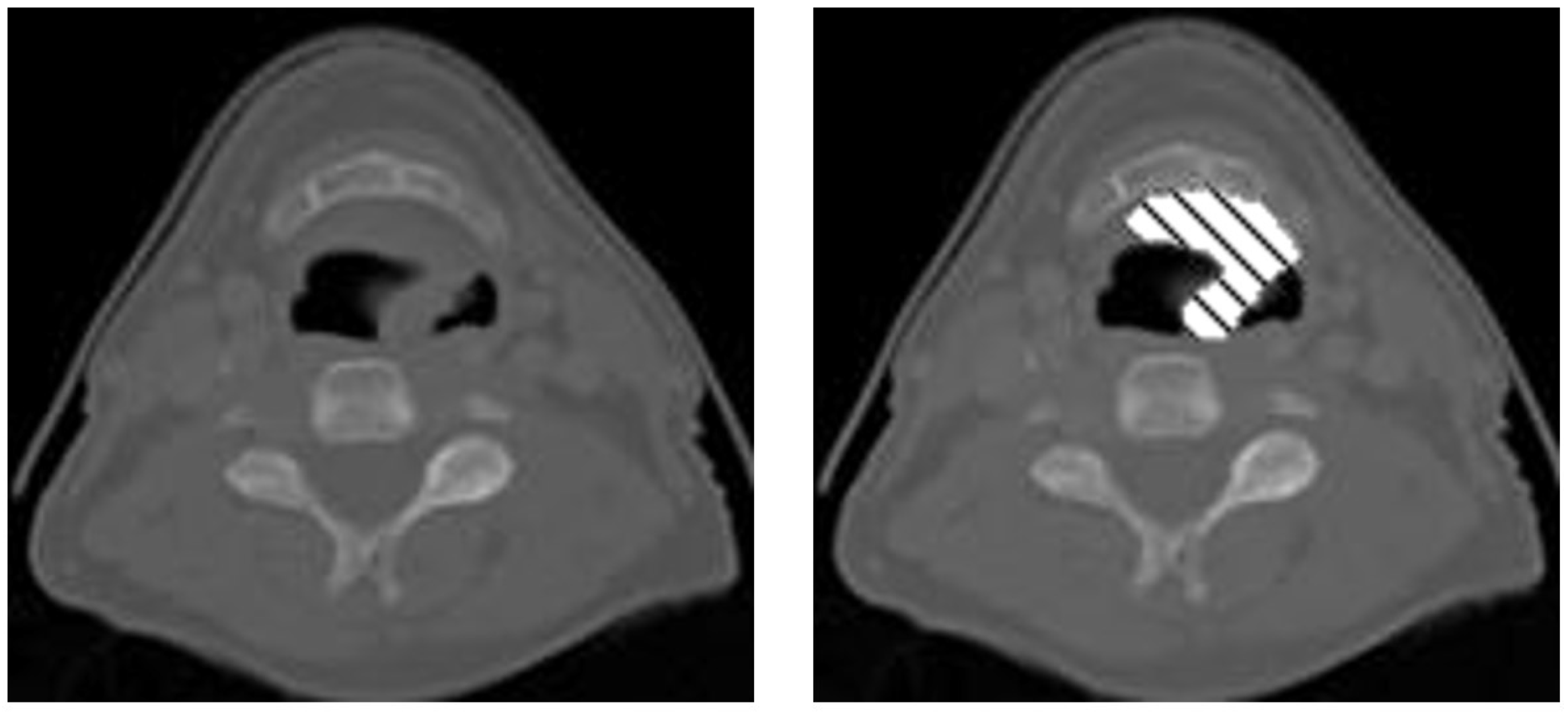 Diagnostics 13 02159 g001
