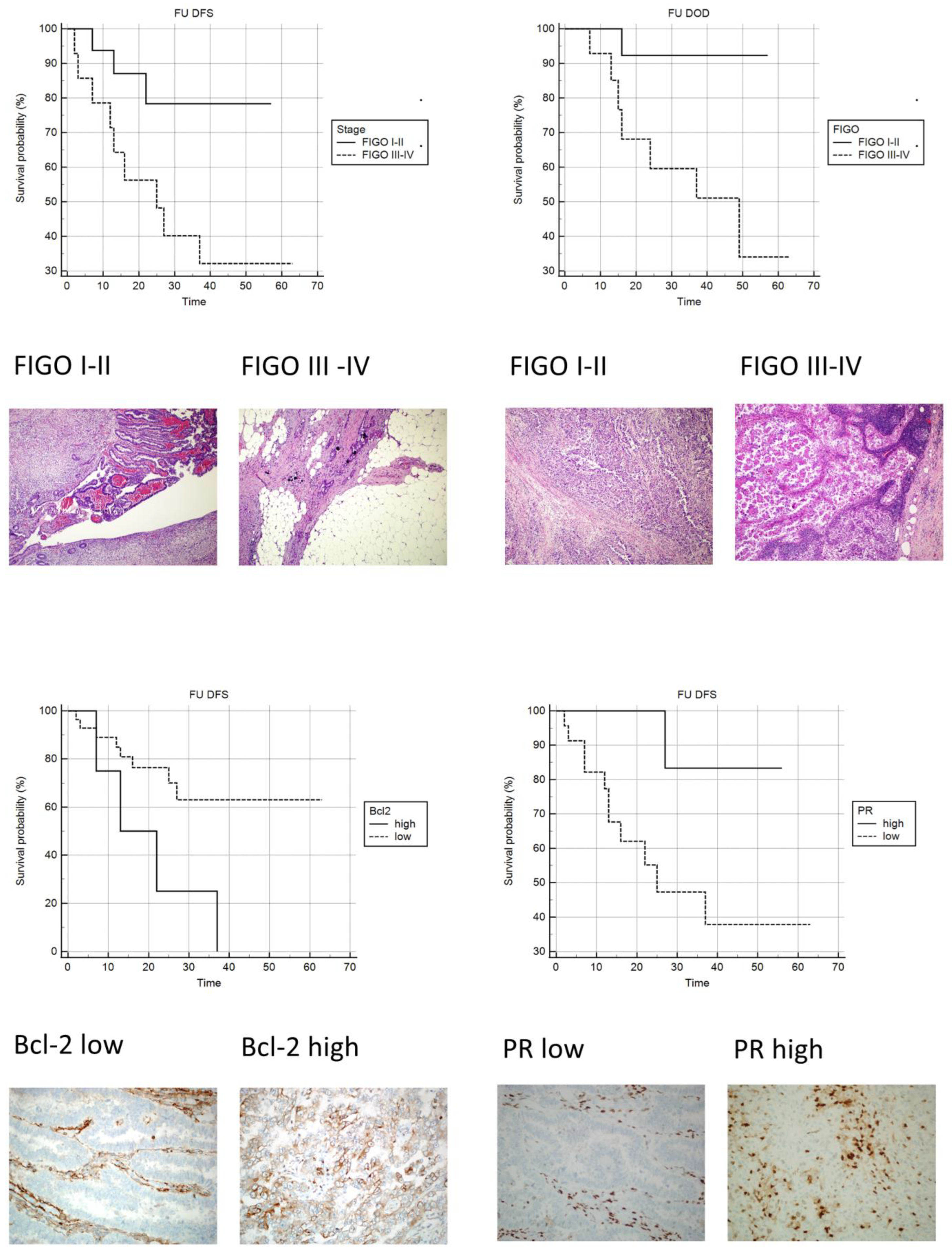 Diagnostics 13 02171 g003