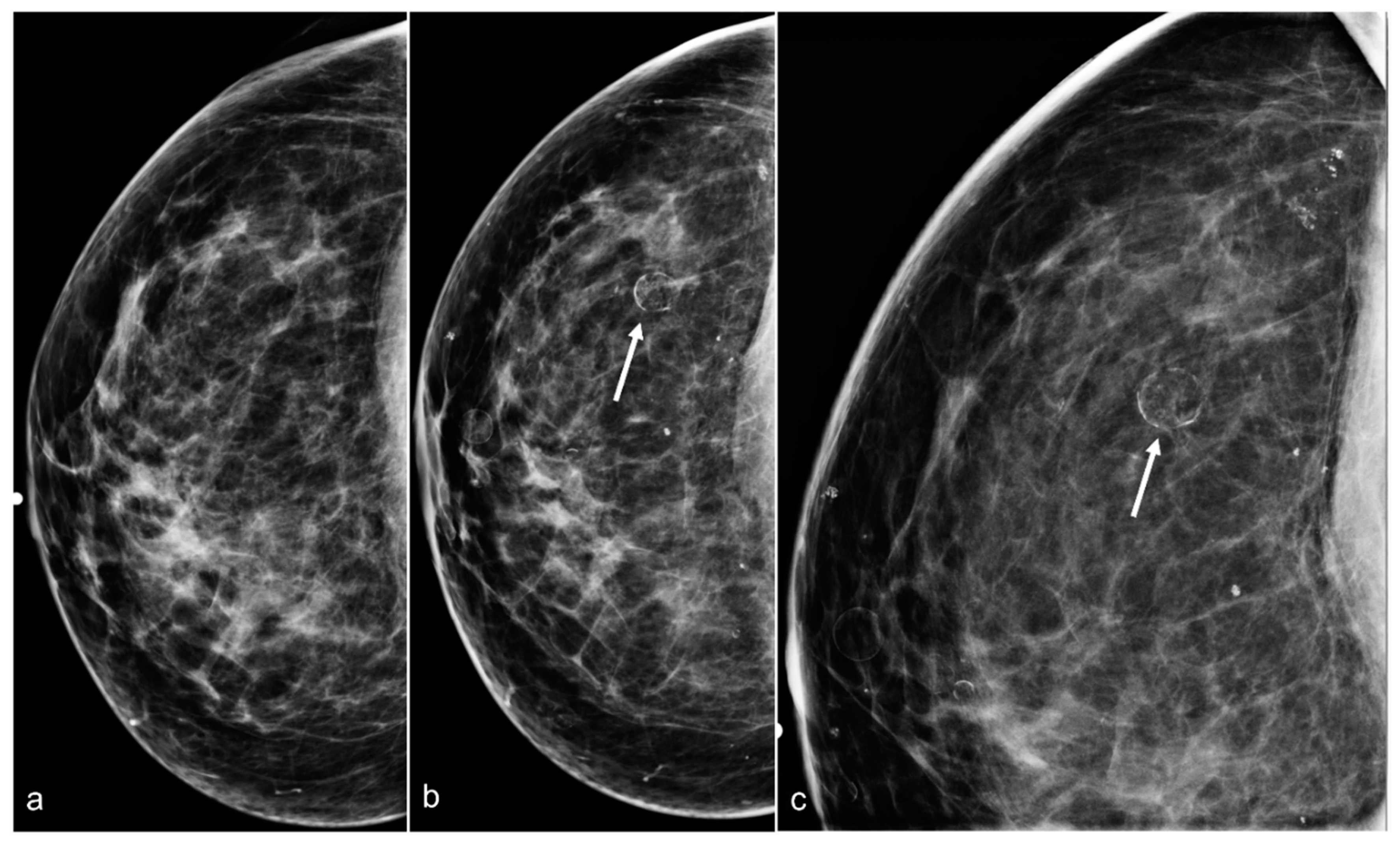 Diagnostics 13 02173 g005