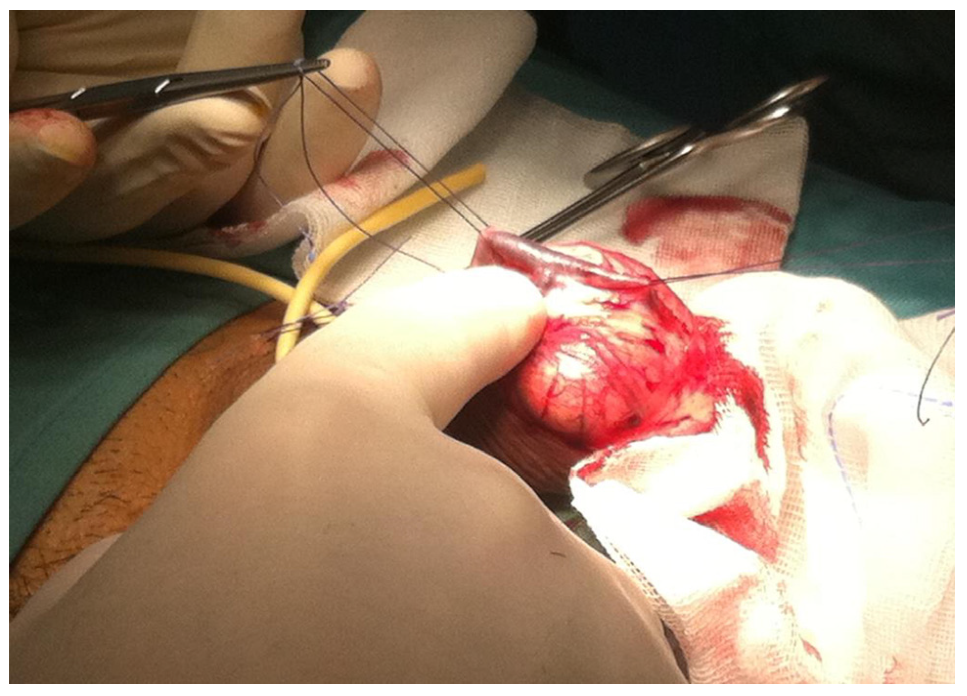 Diagnostics 13 02178 g001