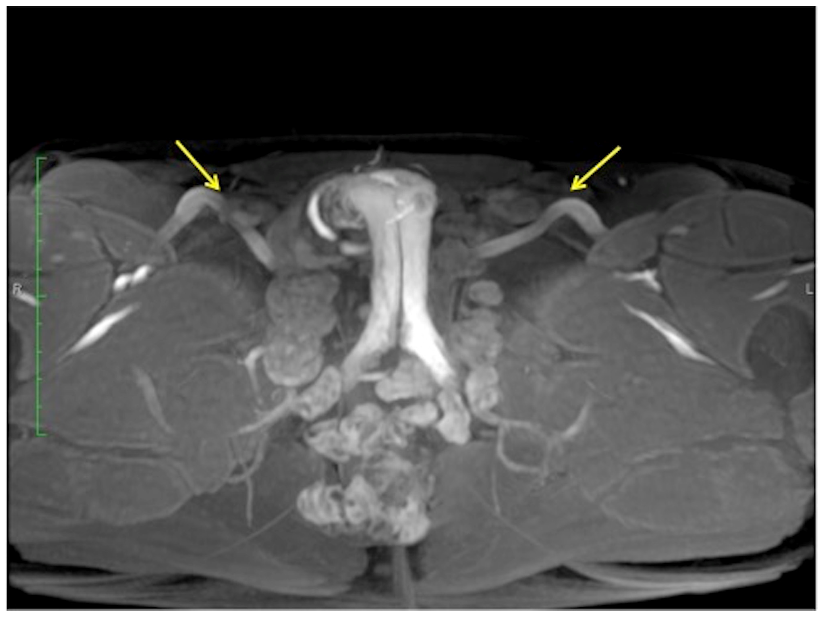Diagnostics 13 02178 g008