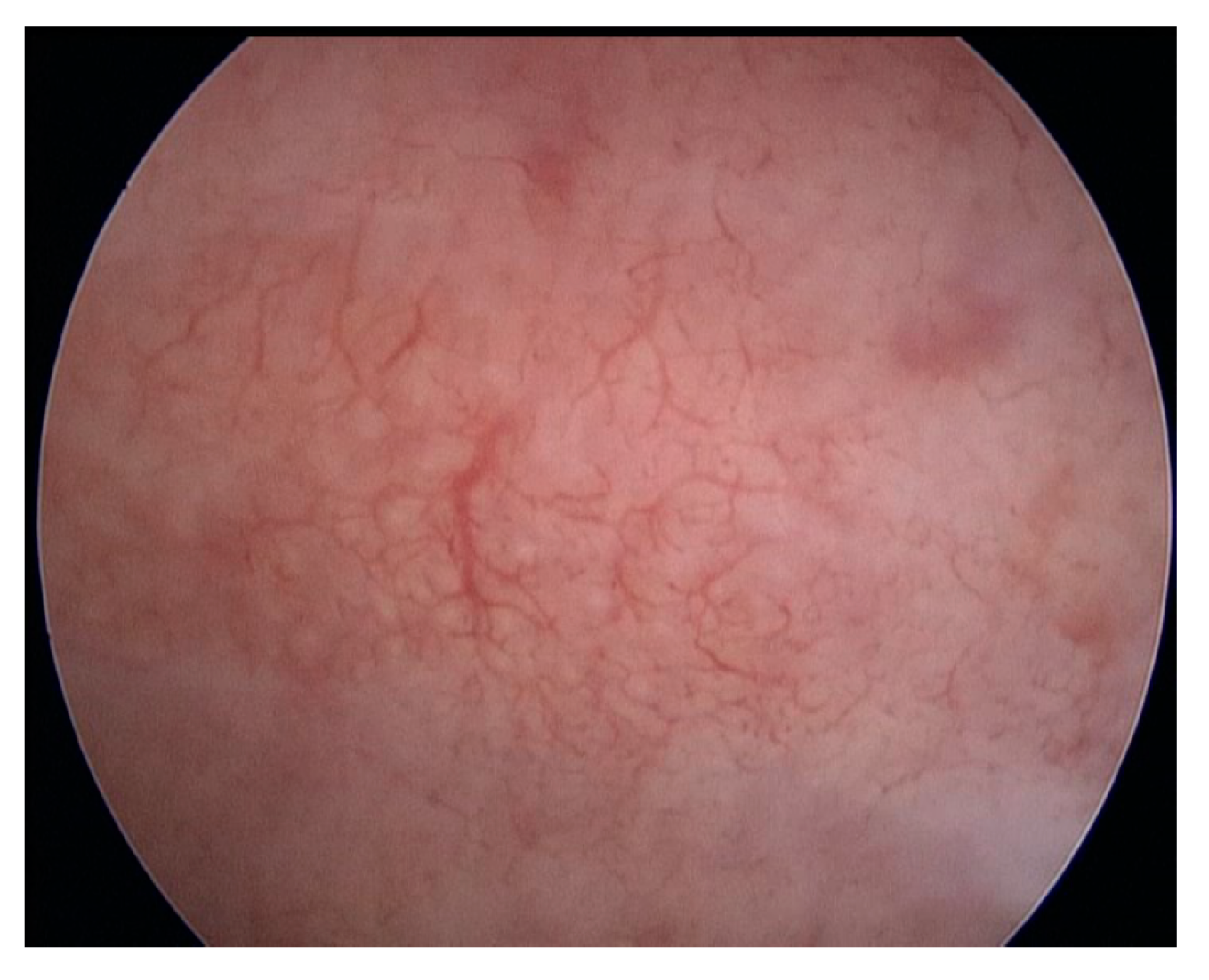 Diagnostics 13 02182 g002