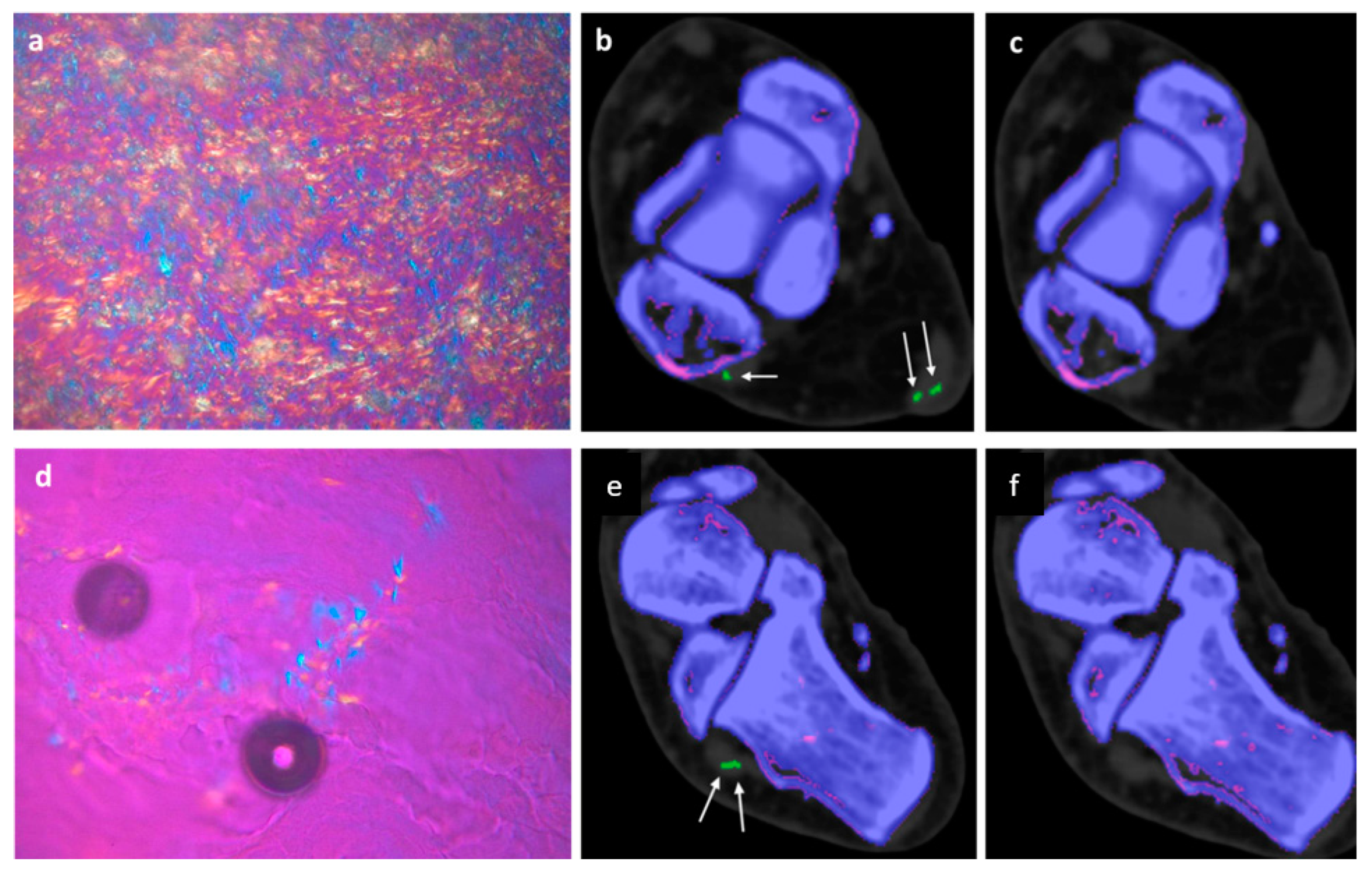 Diagnostics 13 02208 g002