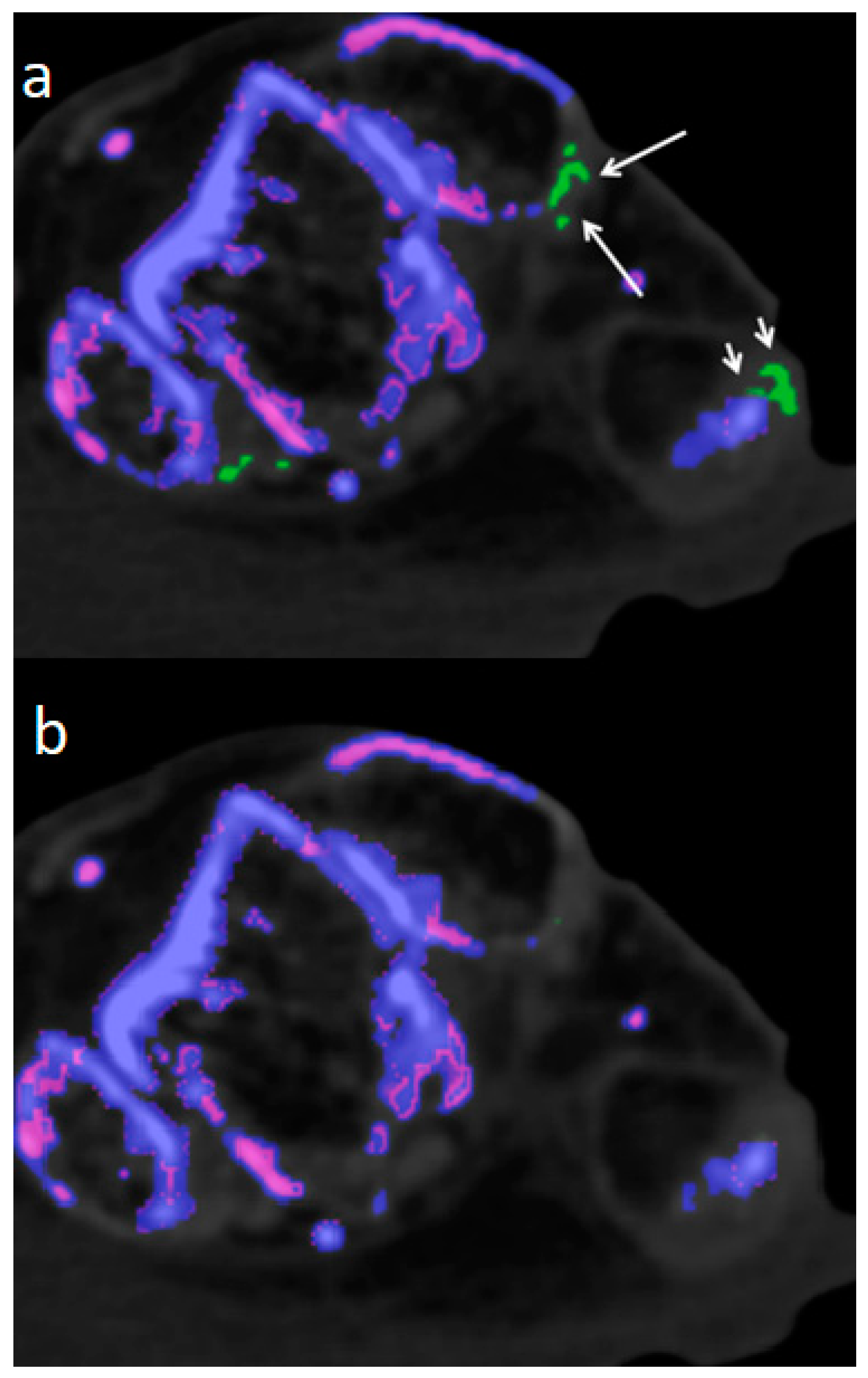 Diagnostics 13 02208 g004