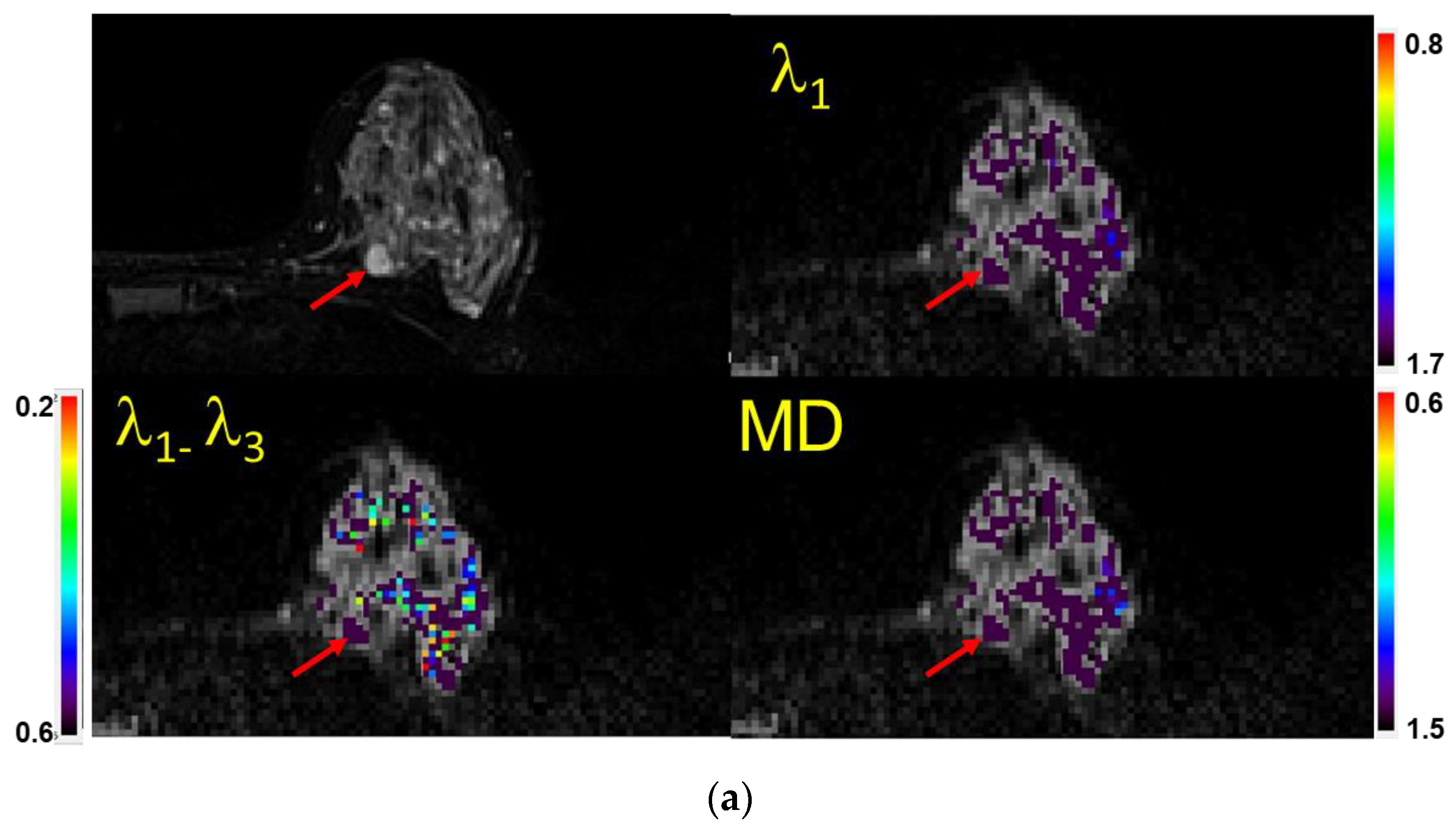 Diagnostics 13 02226 g003a