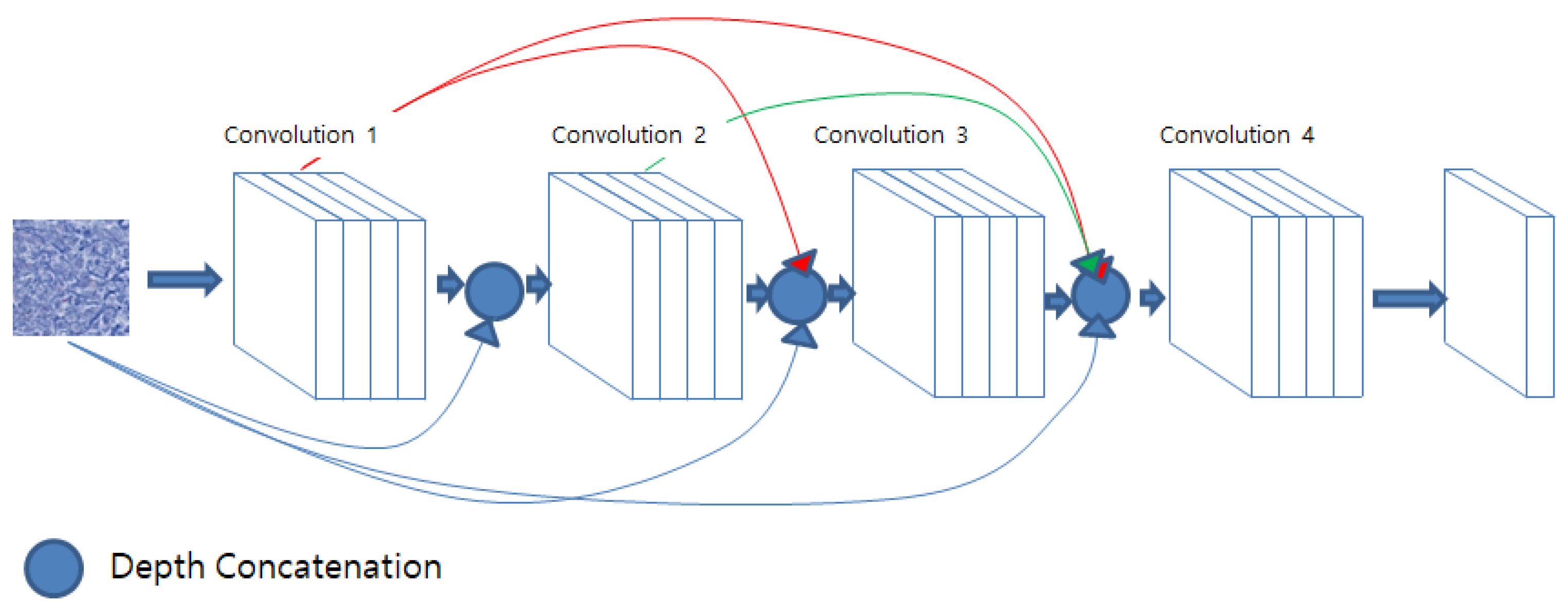 Diagnostics 13 02230 g005 Diagnostics 13 02230 g005