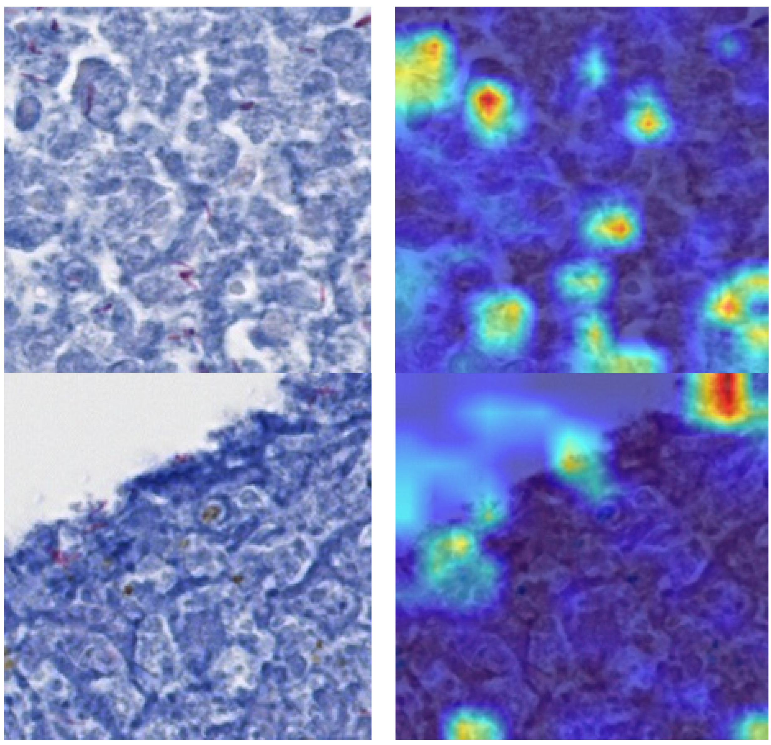 Diagnostics 13 02230 g009 Diagnostics 13 02230 g009