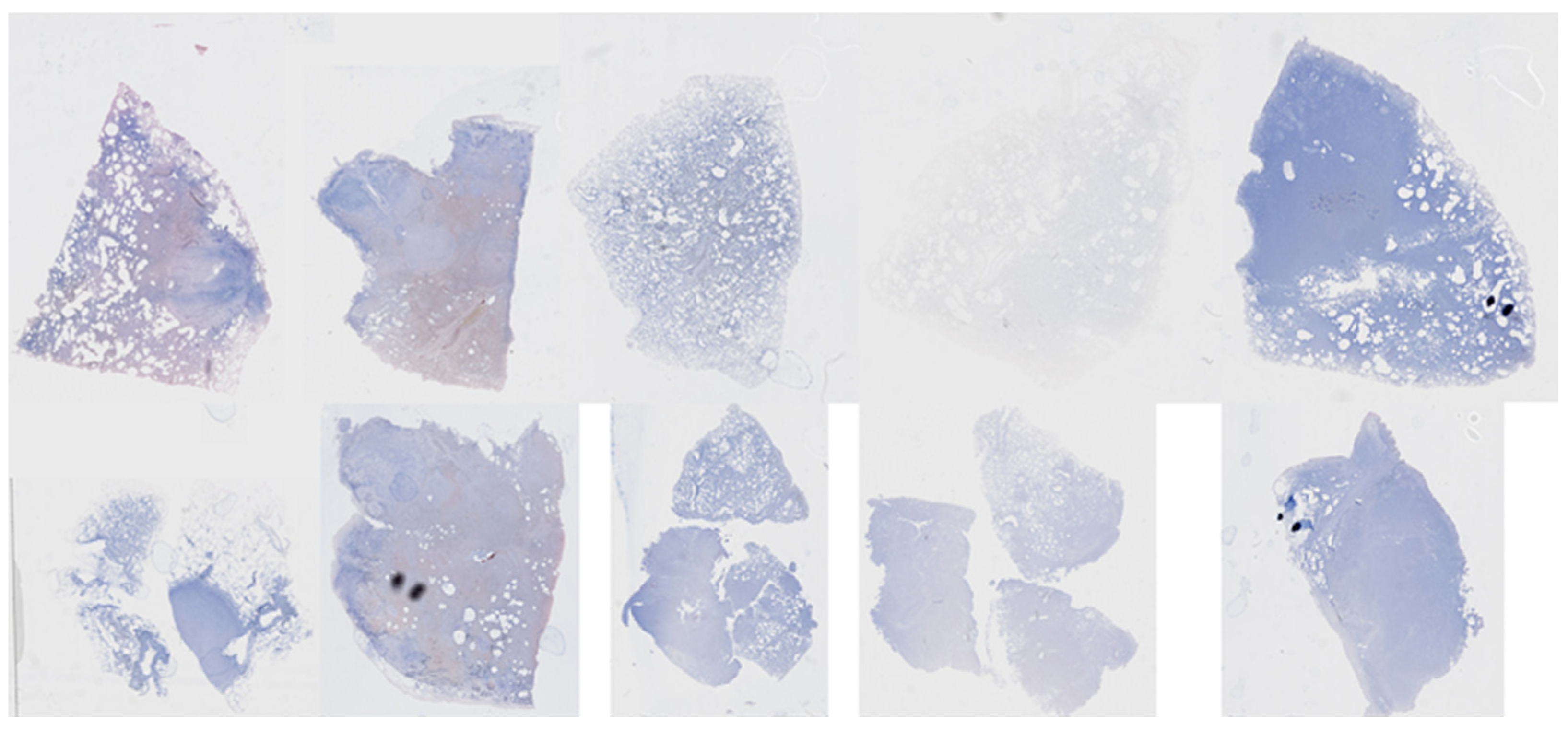 Diagnostics 13 02230 g010 Diagnostics 13 02230 g010