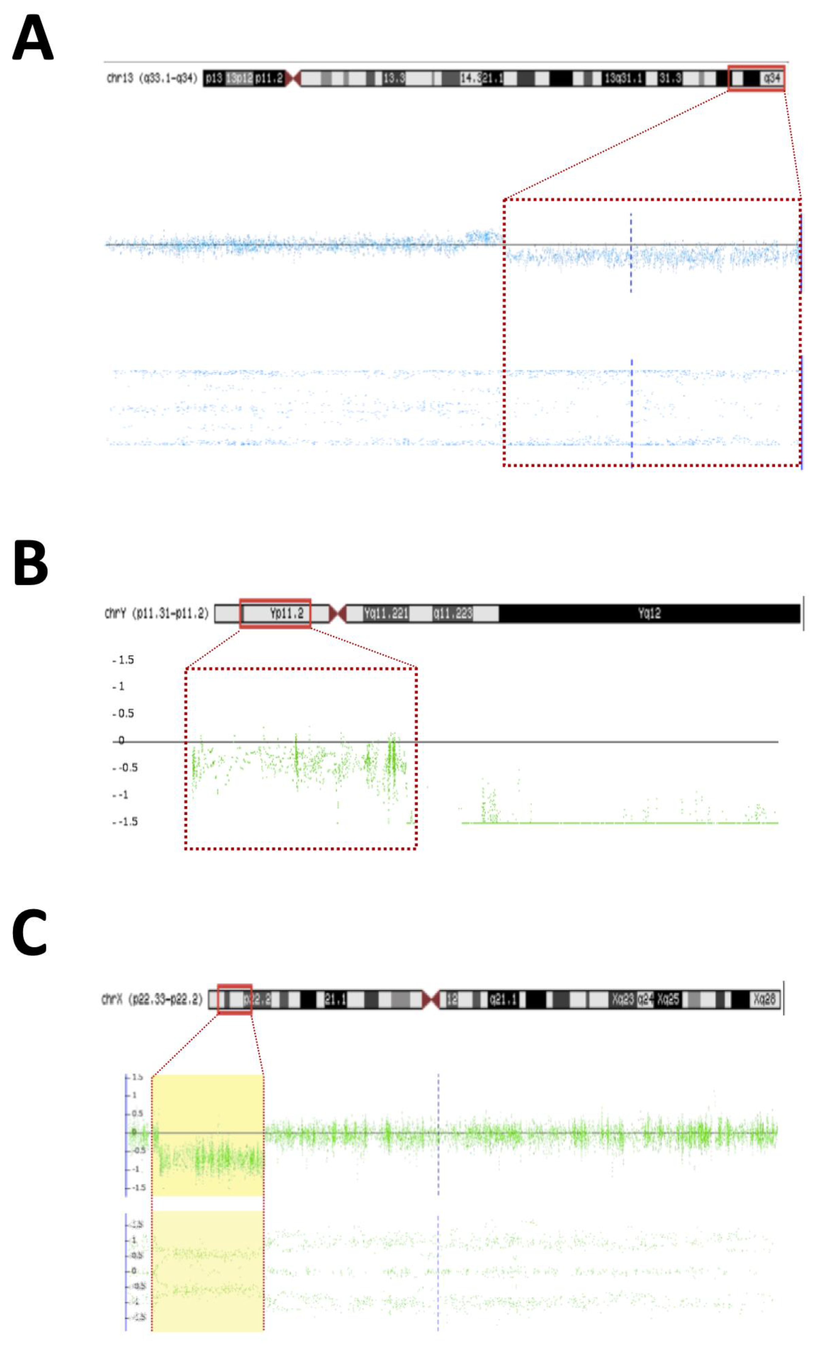 Diagnostics 13 02235 g002 Diagnostics 13 02235 g002