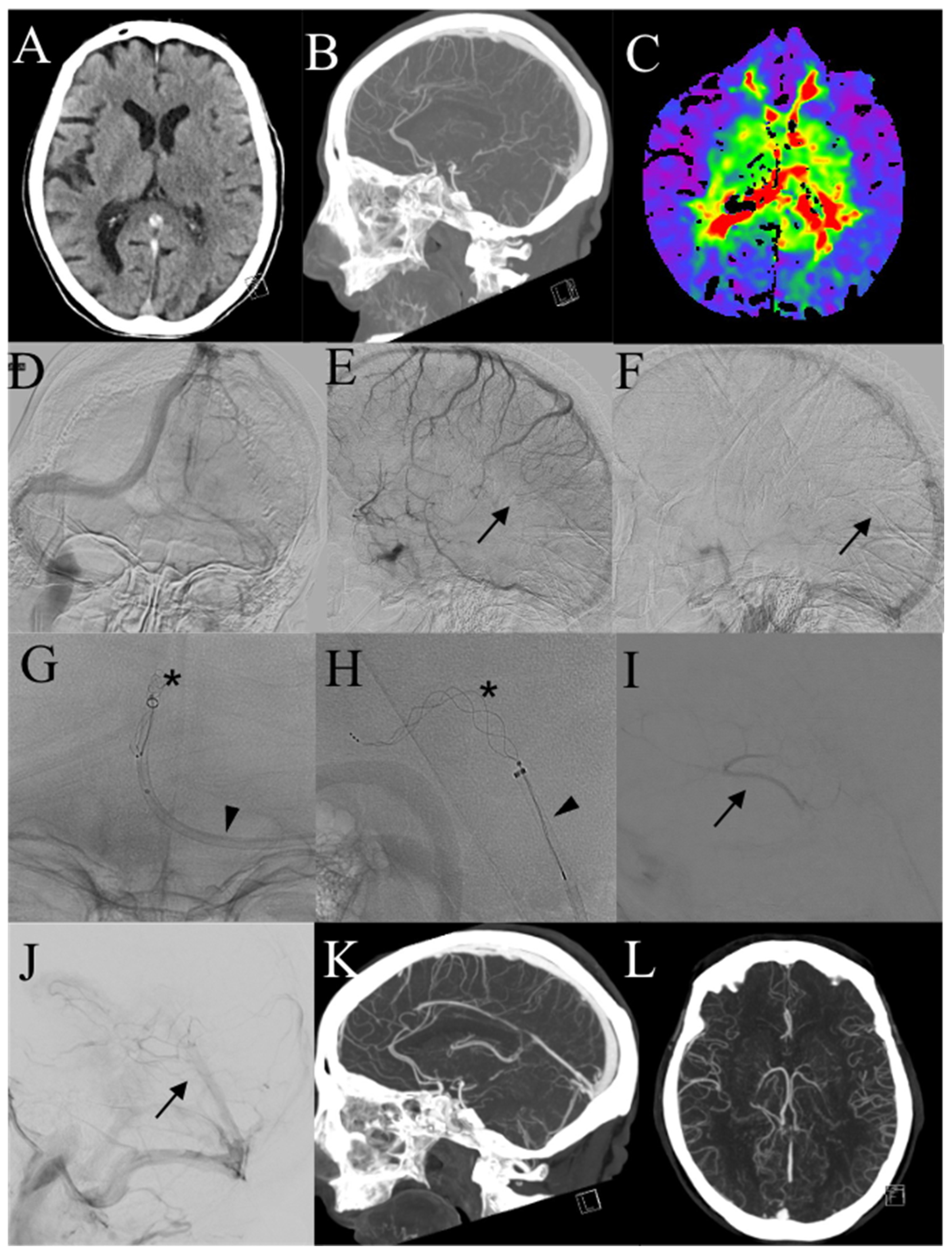 Diagnostics 13 02248 g003