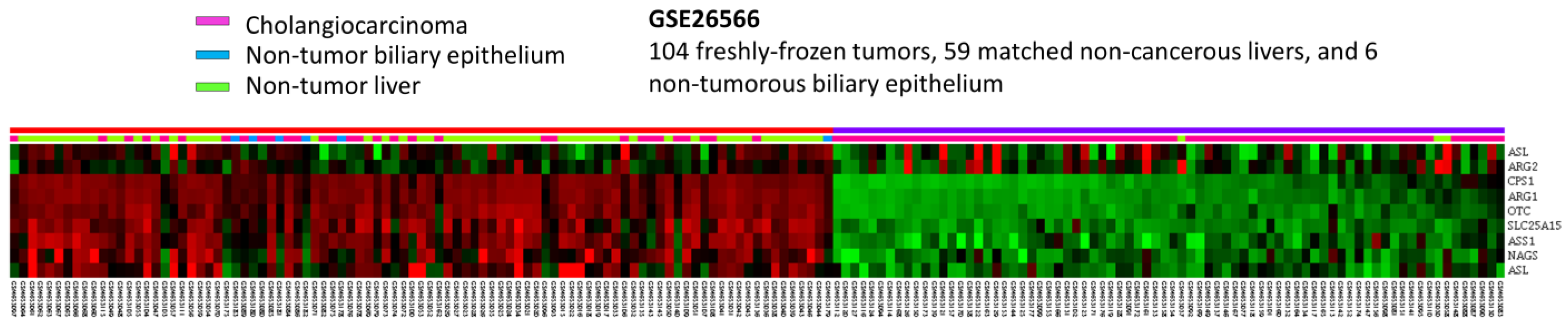 Diagnostics 13 02296 g001