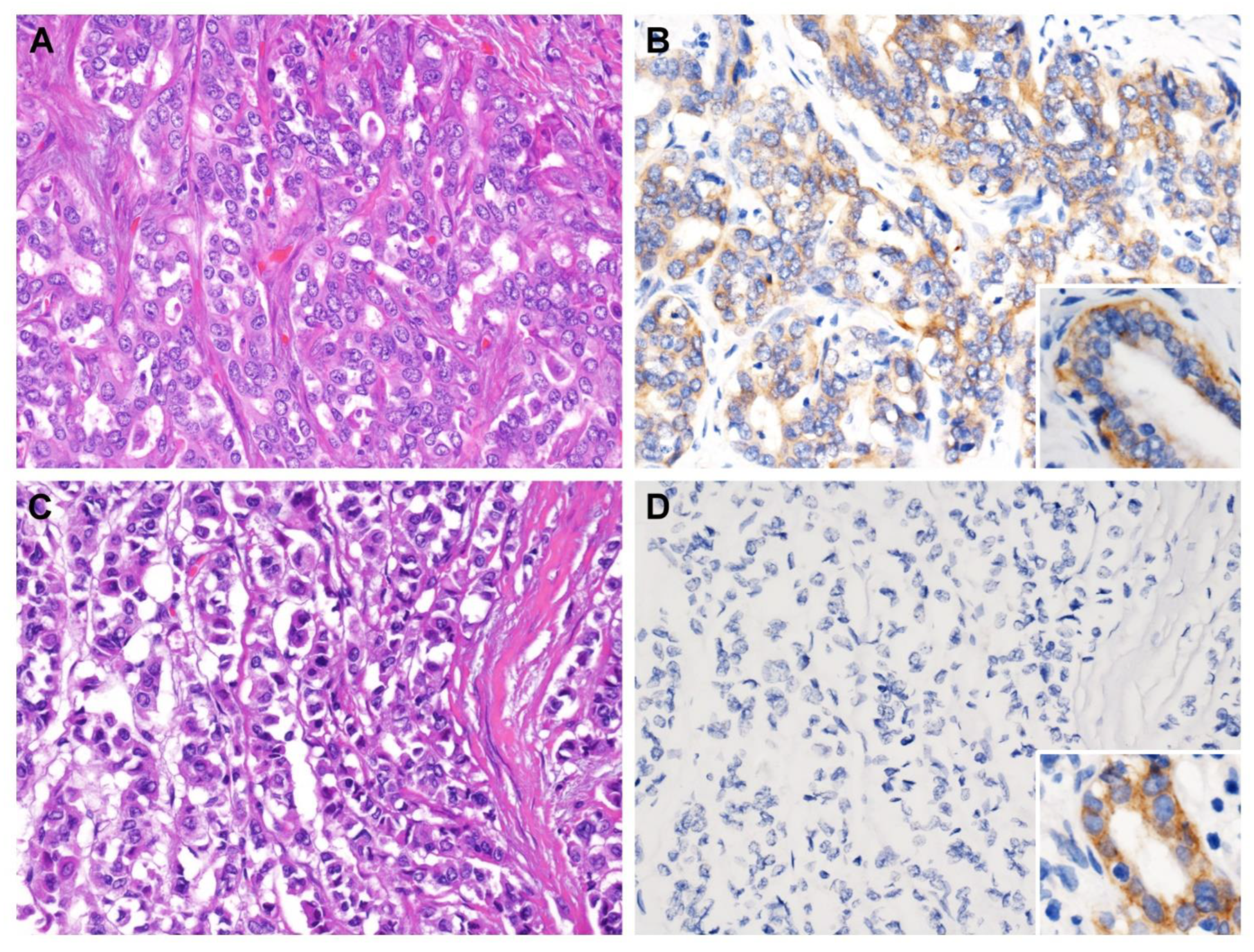 Diagnostics 13 02296 g002