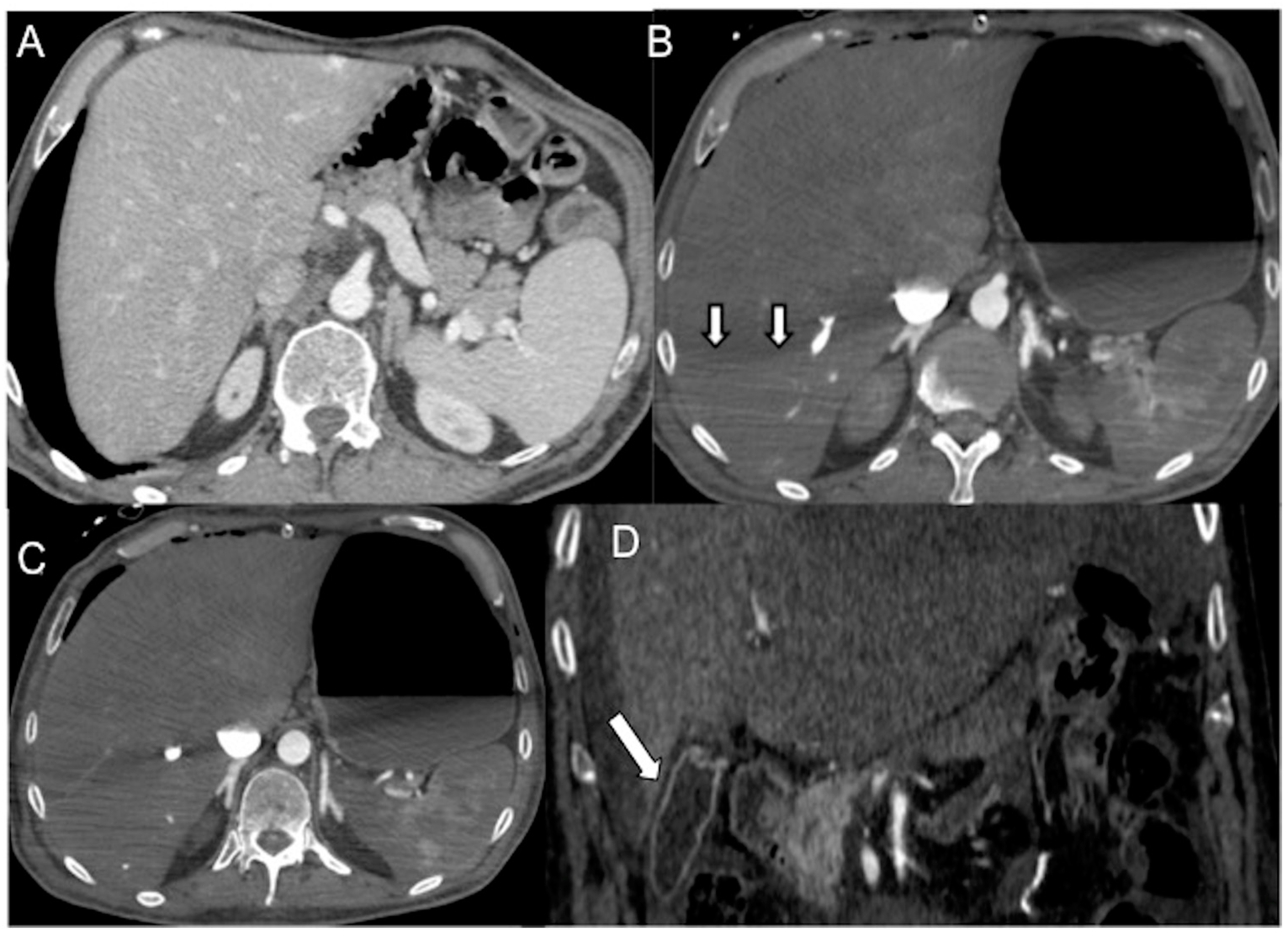 Diagnostics 13 02304 g007
