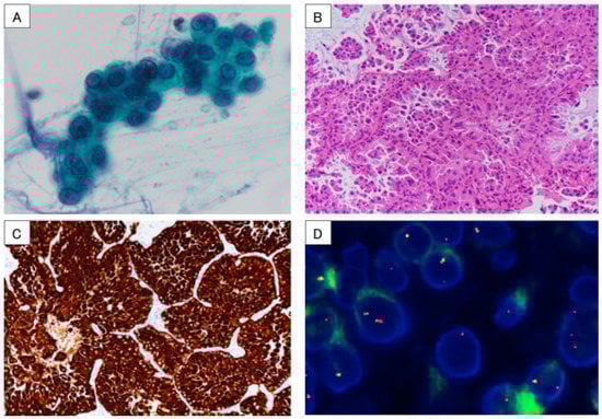 Diagnostics 13 02327 g002 550