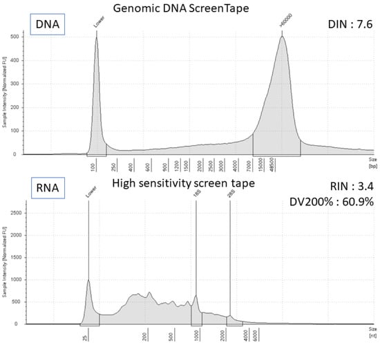Diagnostics 13 02327 g003 550