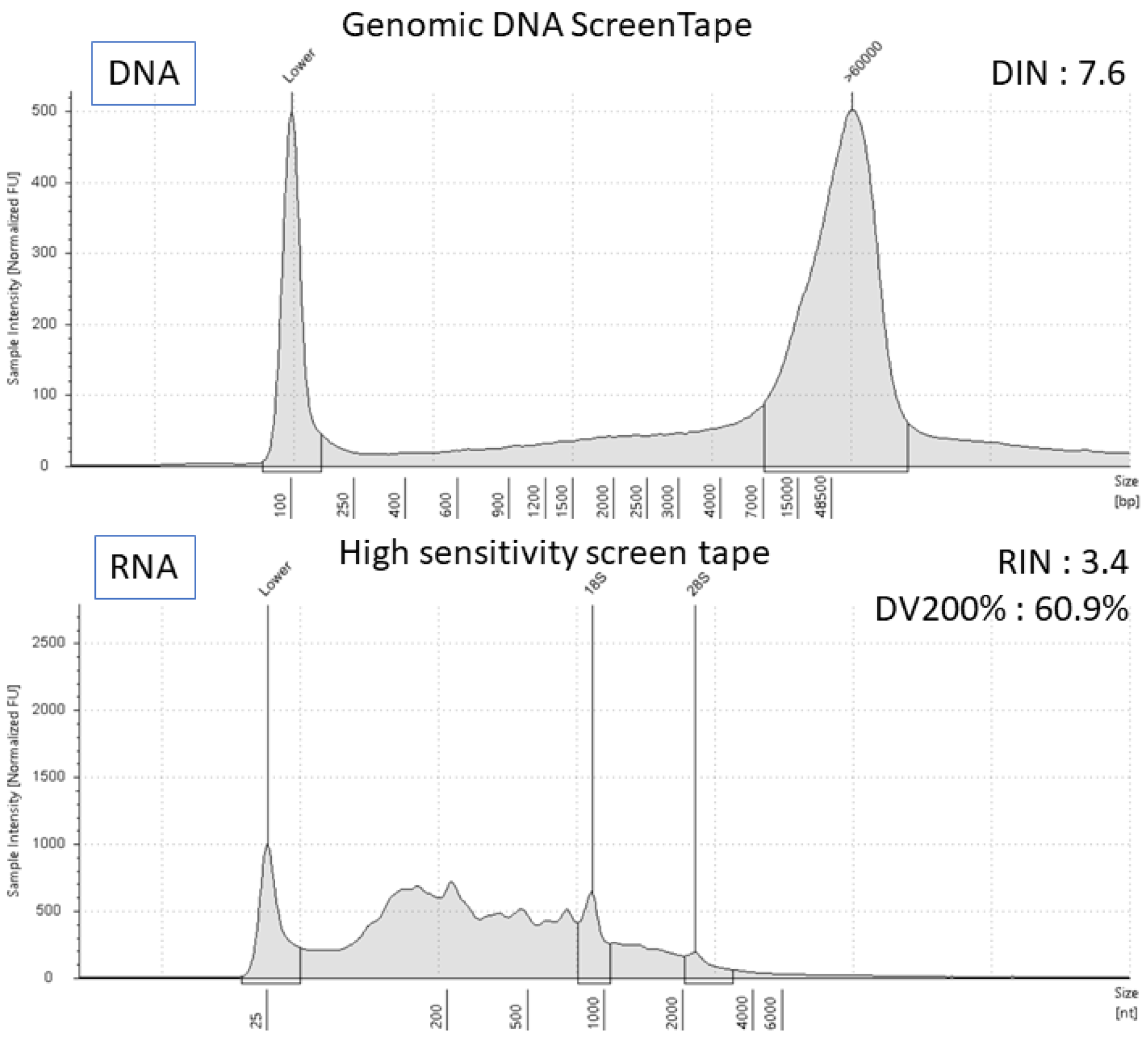 Diagnostics 13 02327 g003