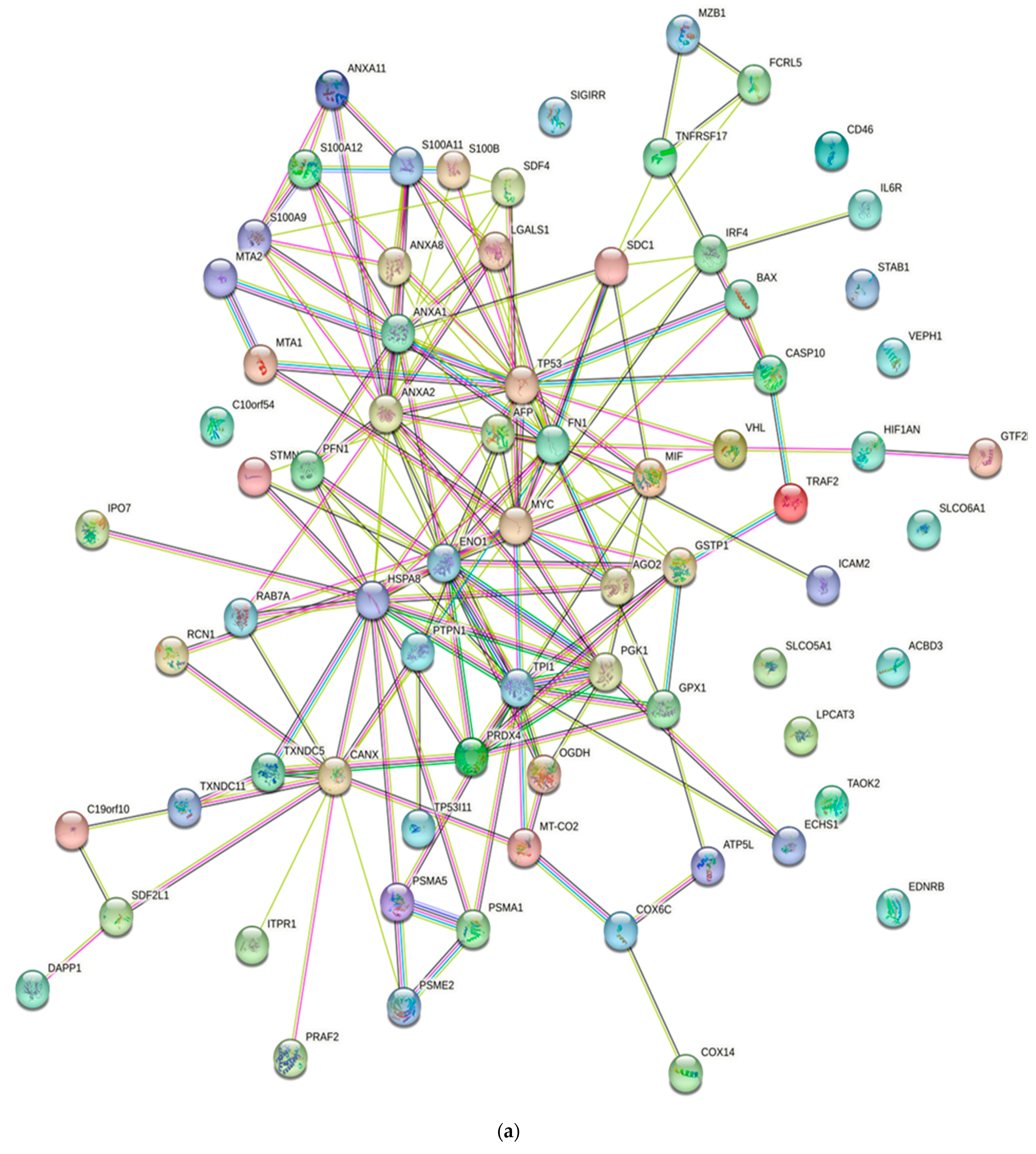 Diagnostics 13 02328 g002a