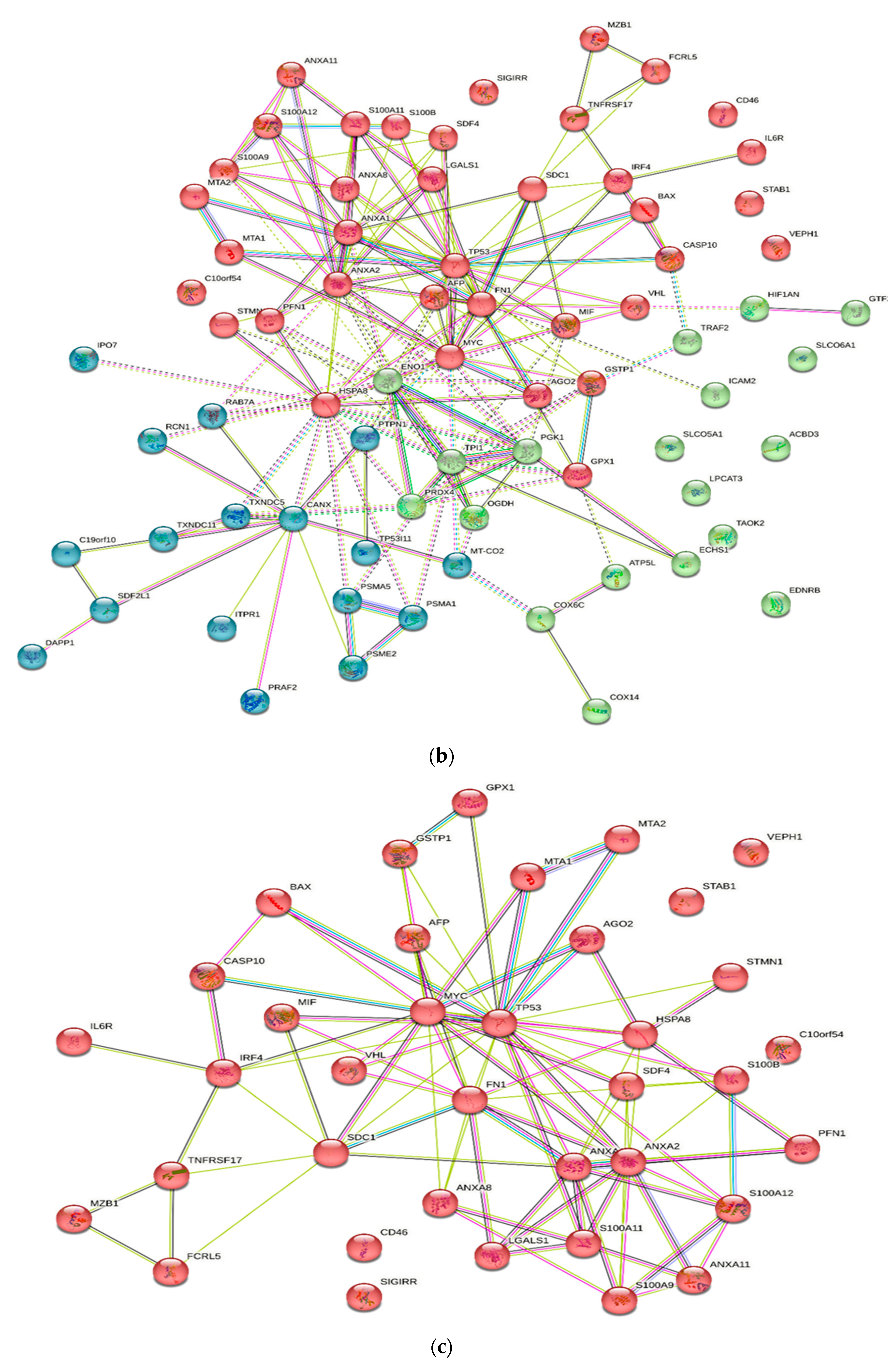 Diagnostics 13 02328 g002b
