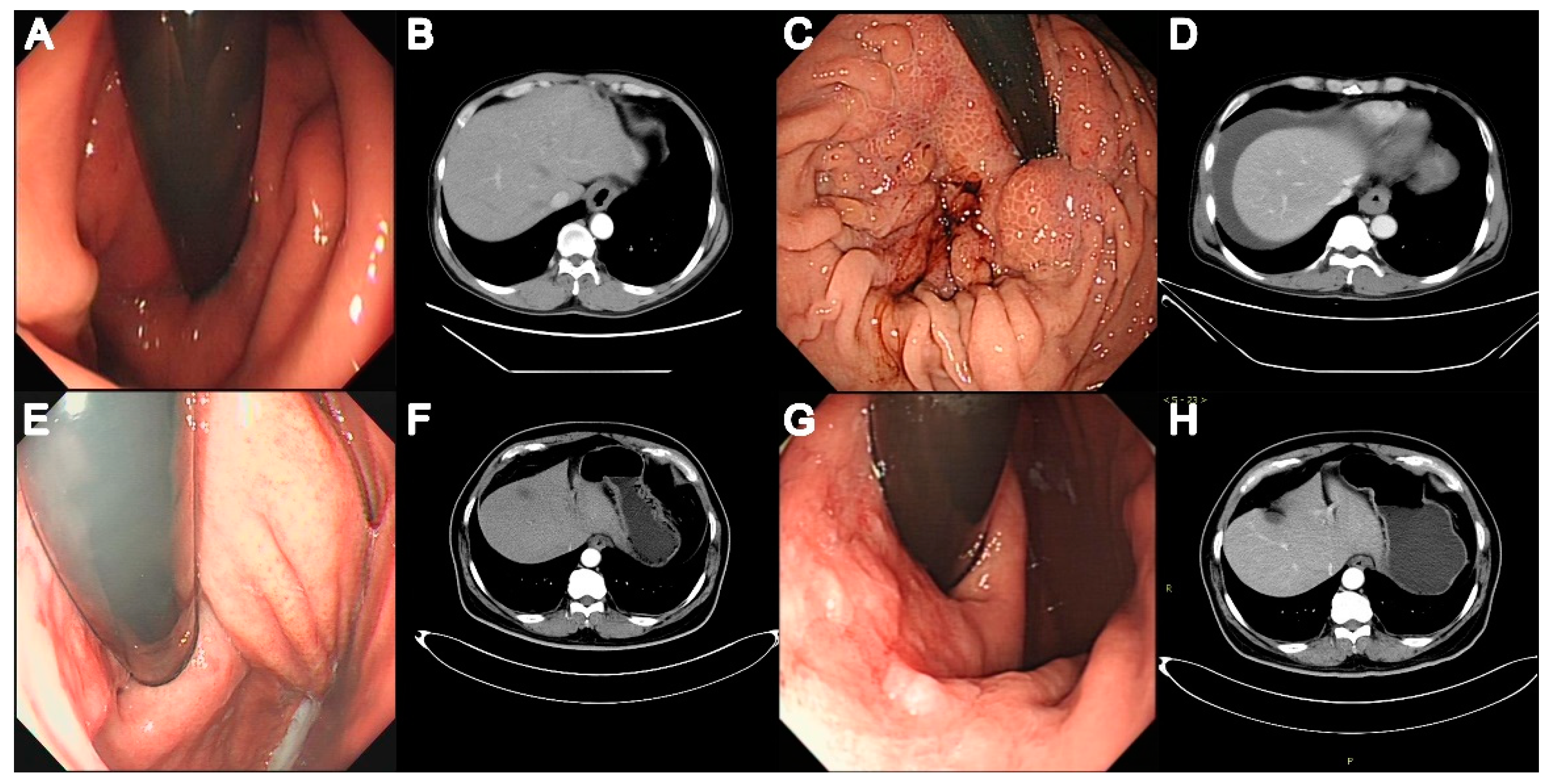 Diagnostics 13 02329 g002