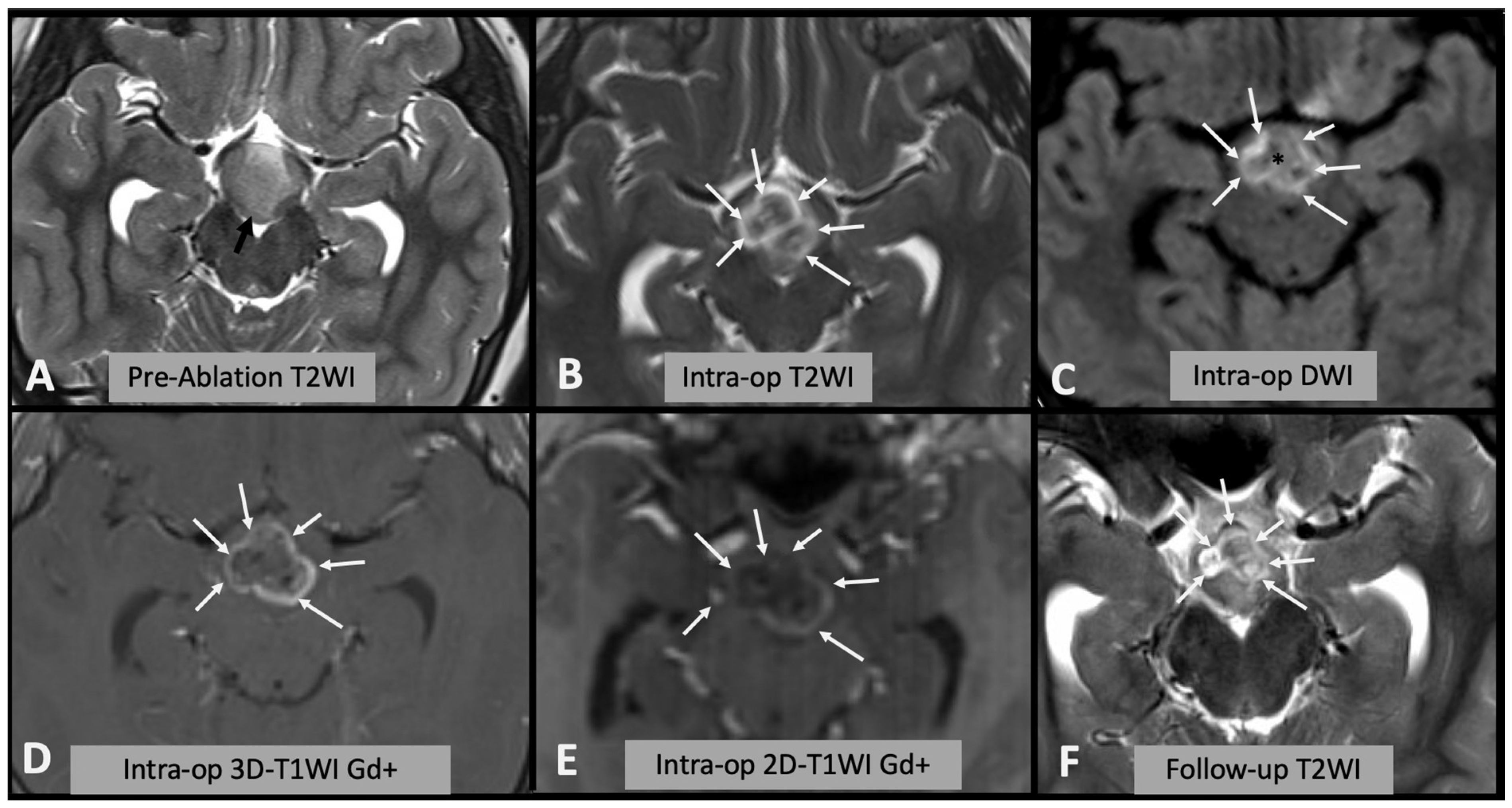 Diagnostics 13 02331 g001