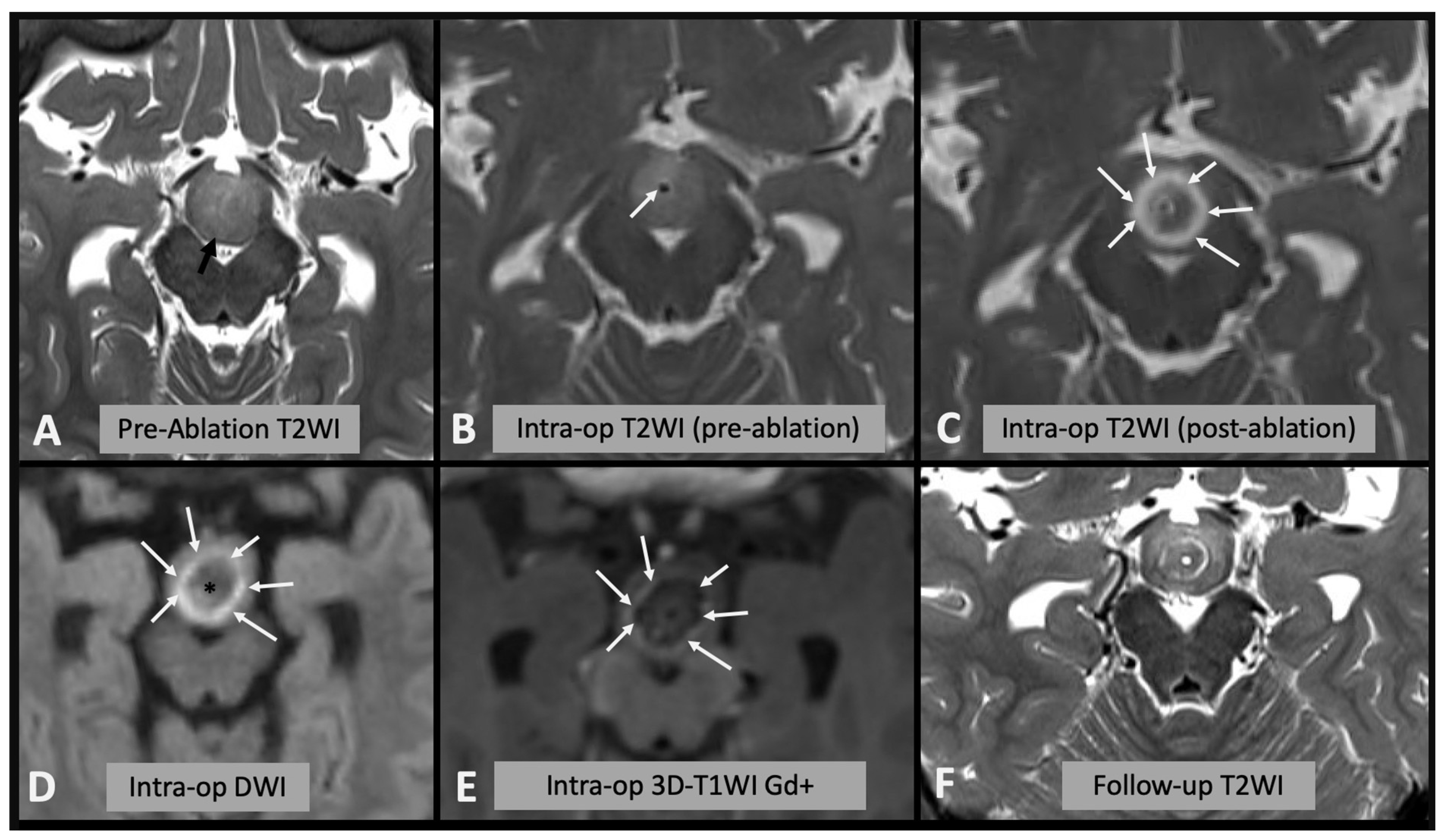 Diagnostics 13 02331 g002