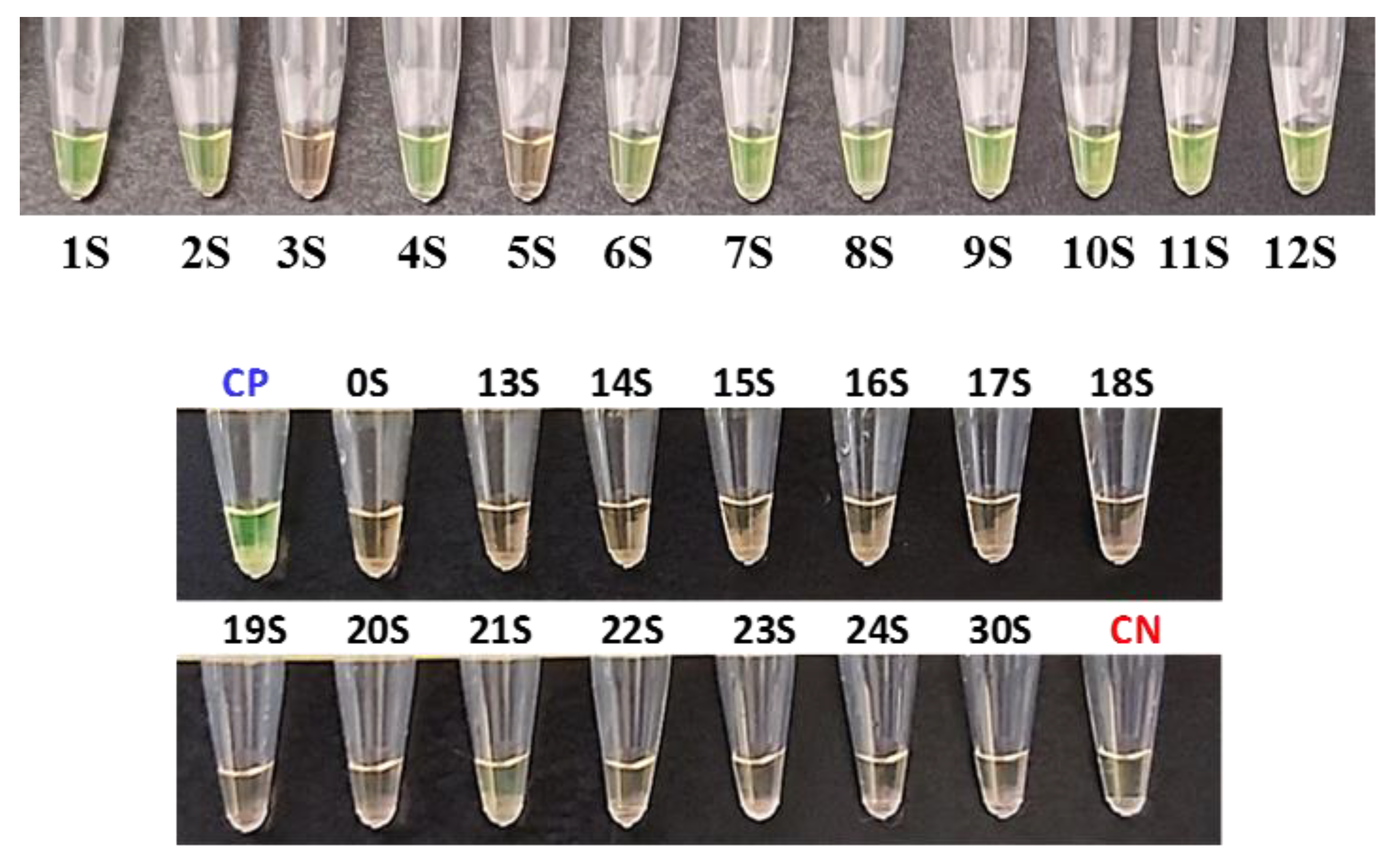 Diagnostics 13 02344 g002