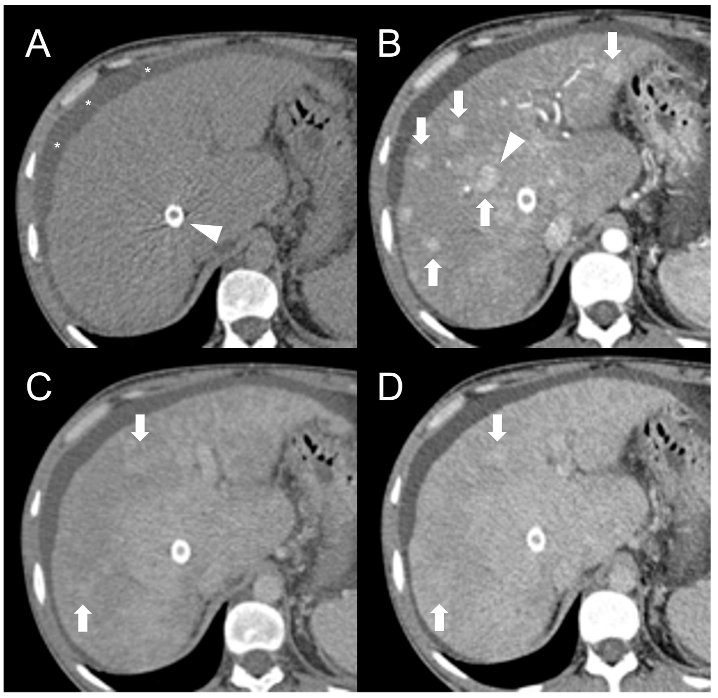 Diagnostics 13 02346 g001