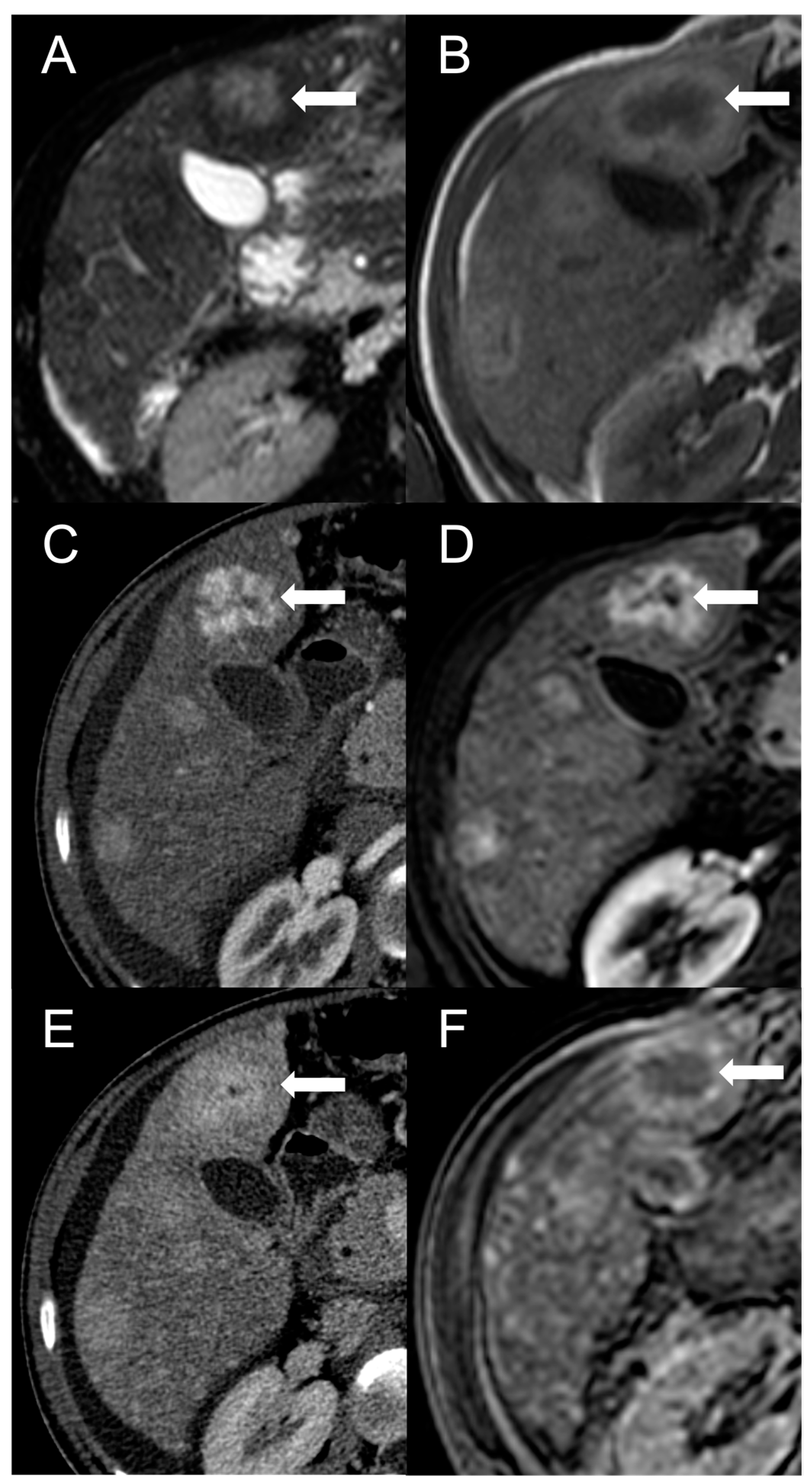 Diagnostics 13 02346 g002
