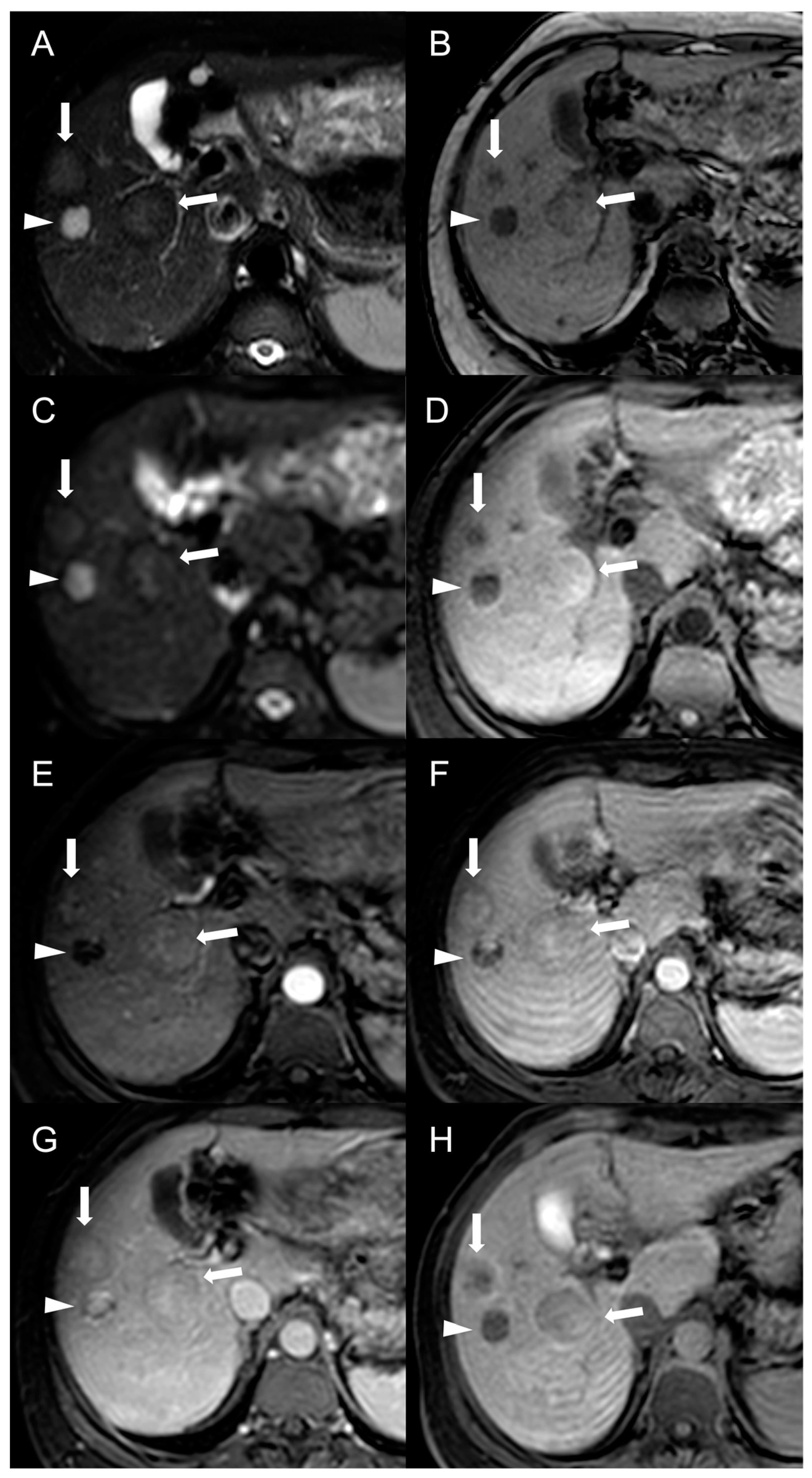 Diagnostics 13 02346 g007