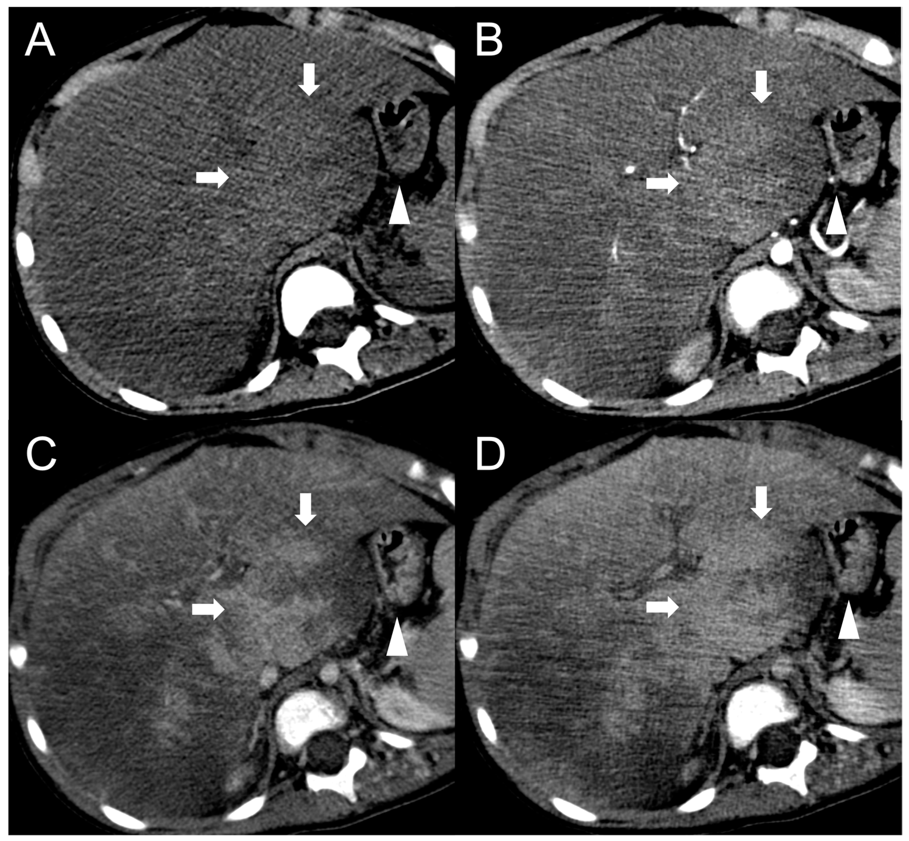 Diagnostics 13 02346 g008