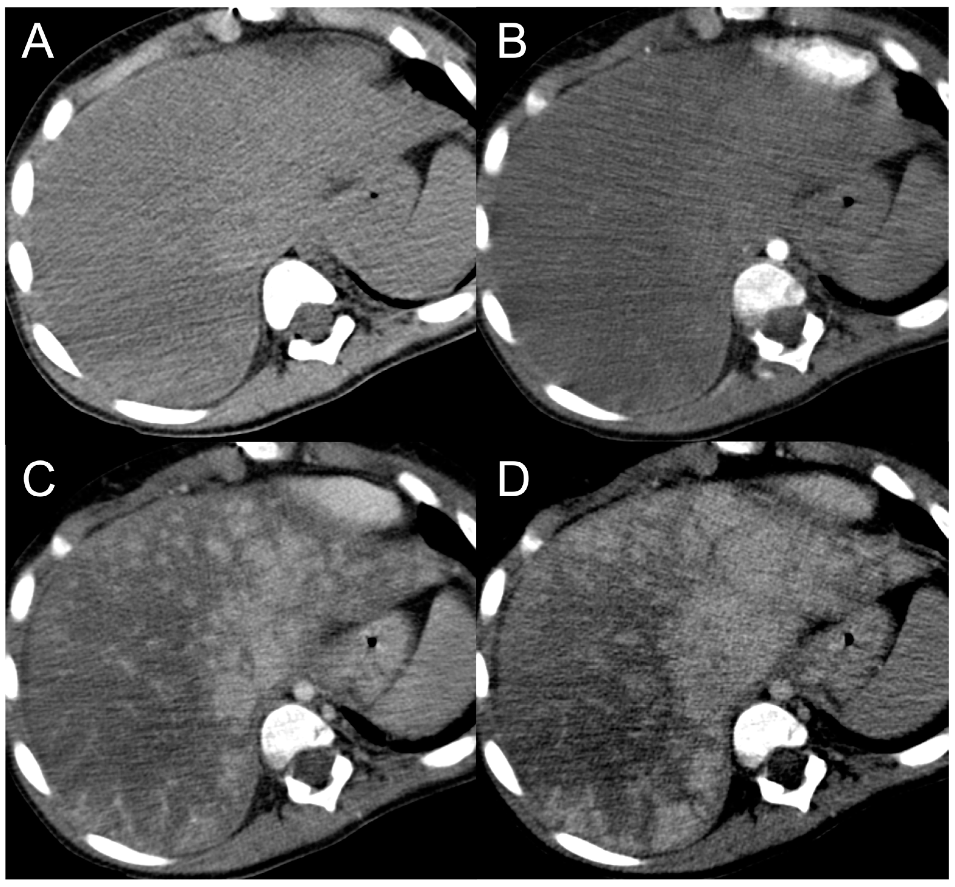 Diagnostics 13 02346 g009