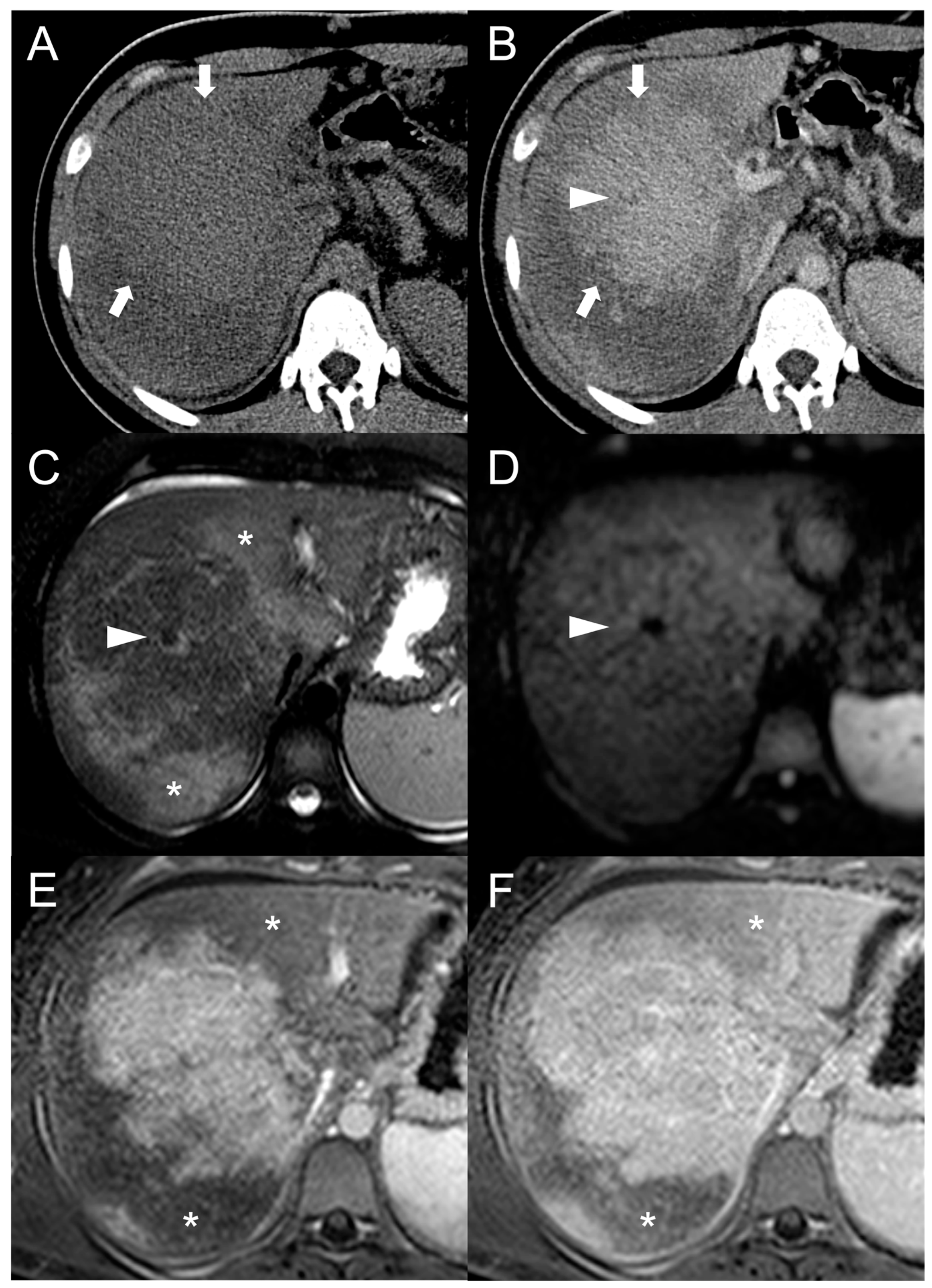 Diagnostics 13 02346 g010