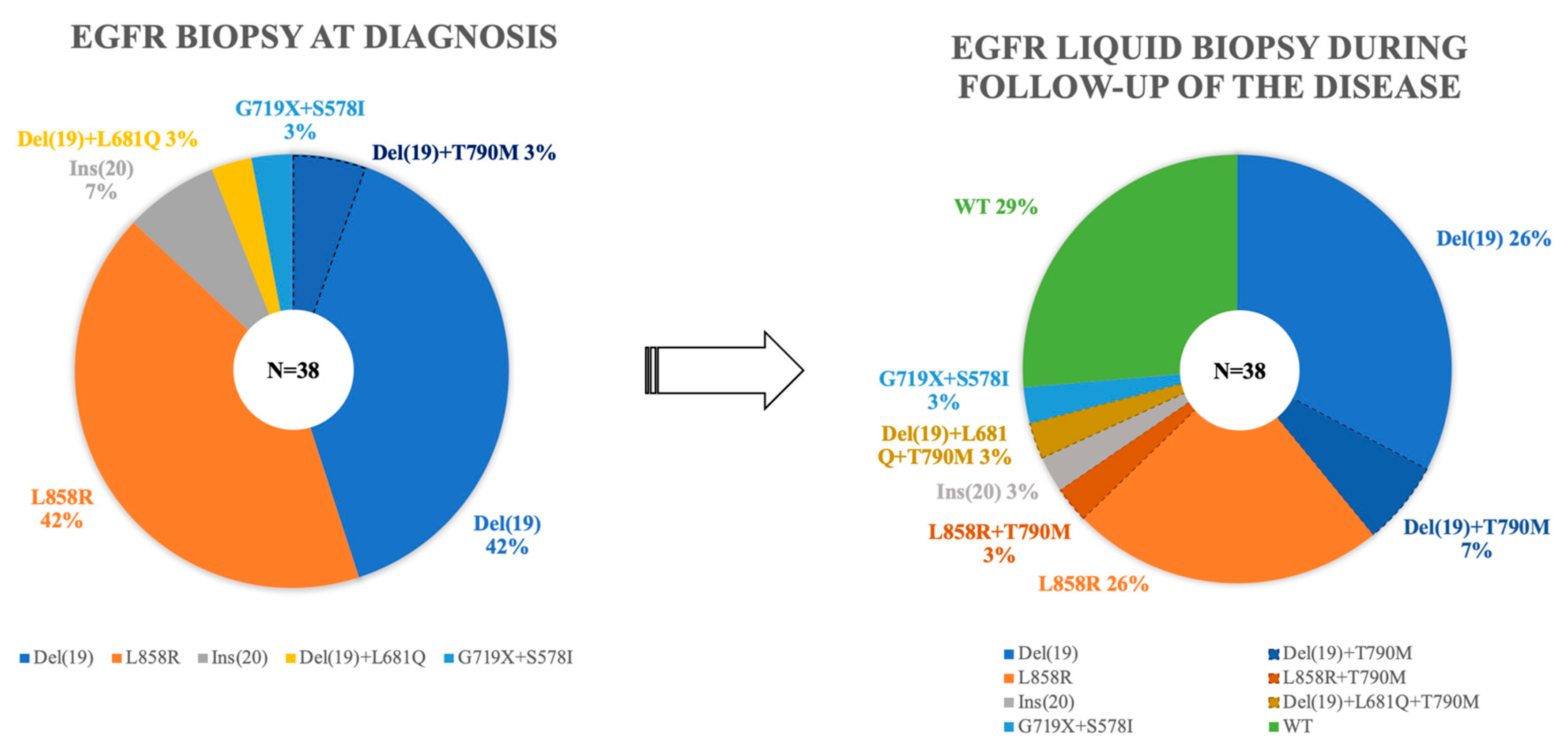 Diagnostics 13 02347 g001
