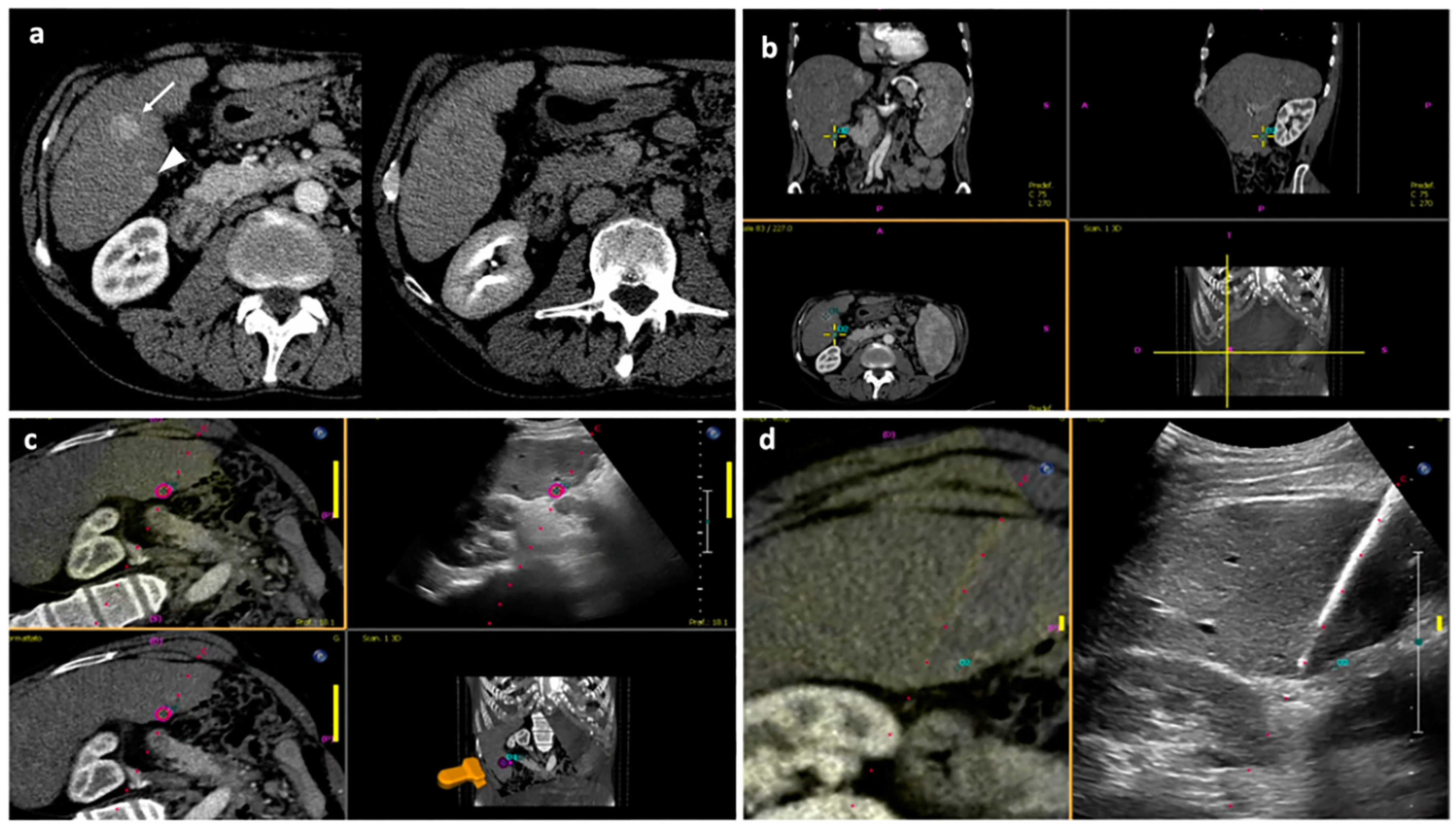 Diagnostics 13 02349 g003