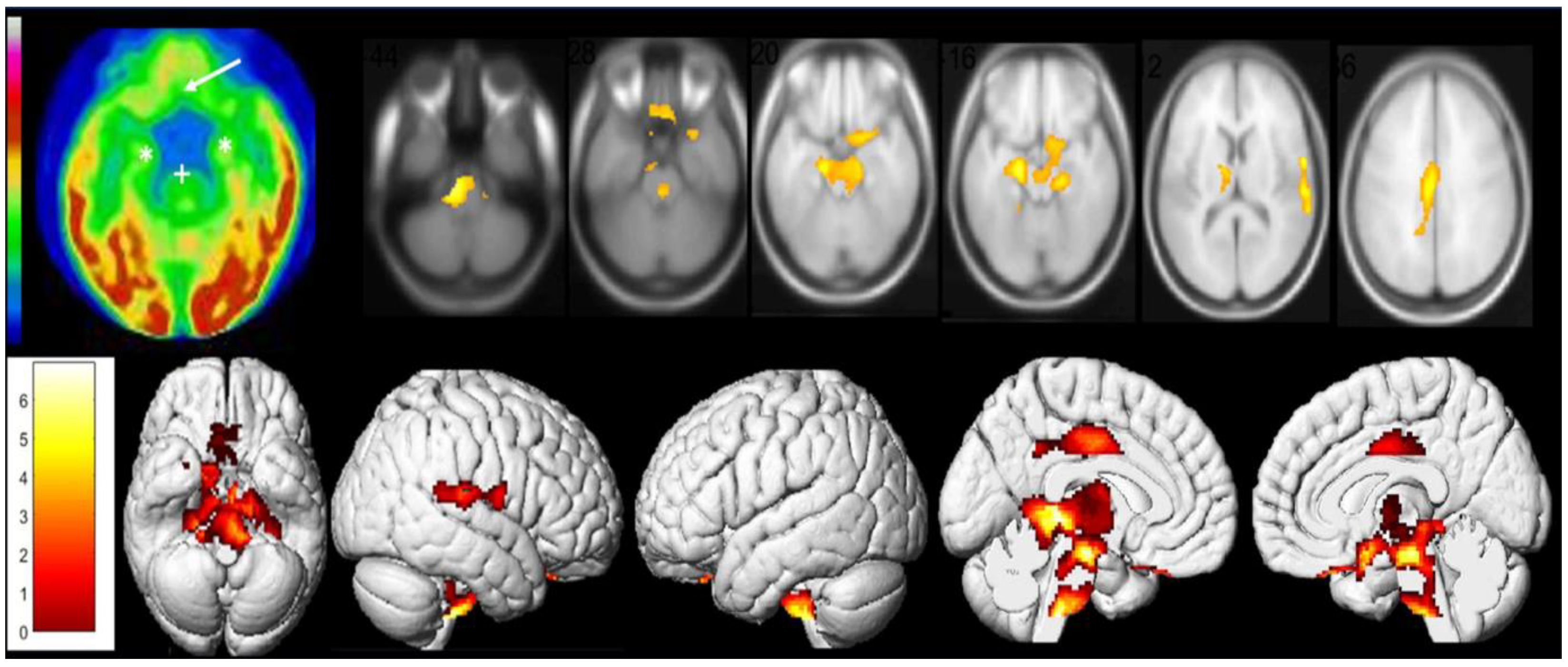 Diagnostics 13 02353 g003