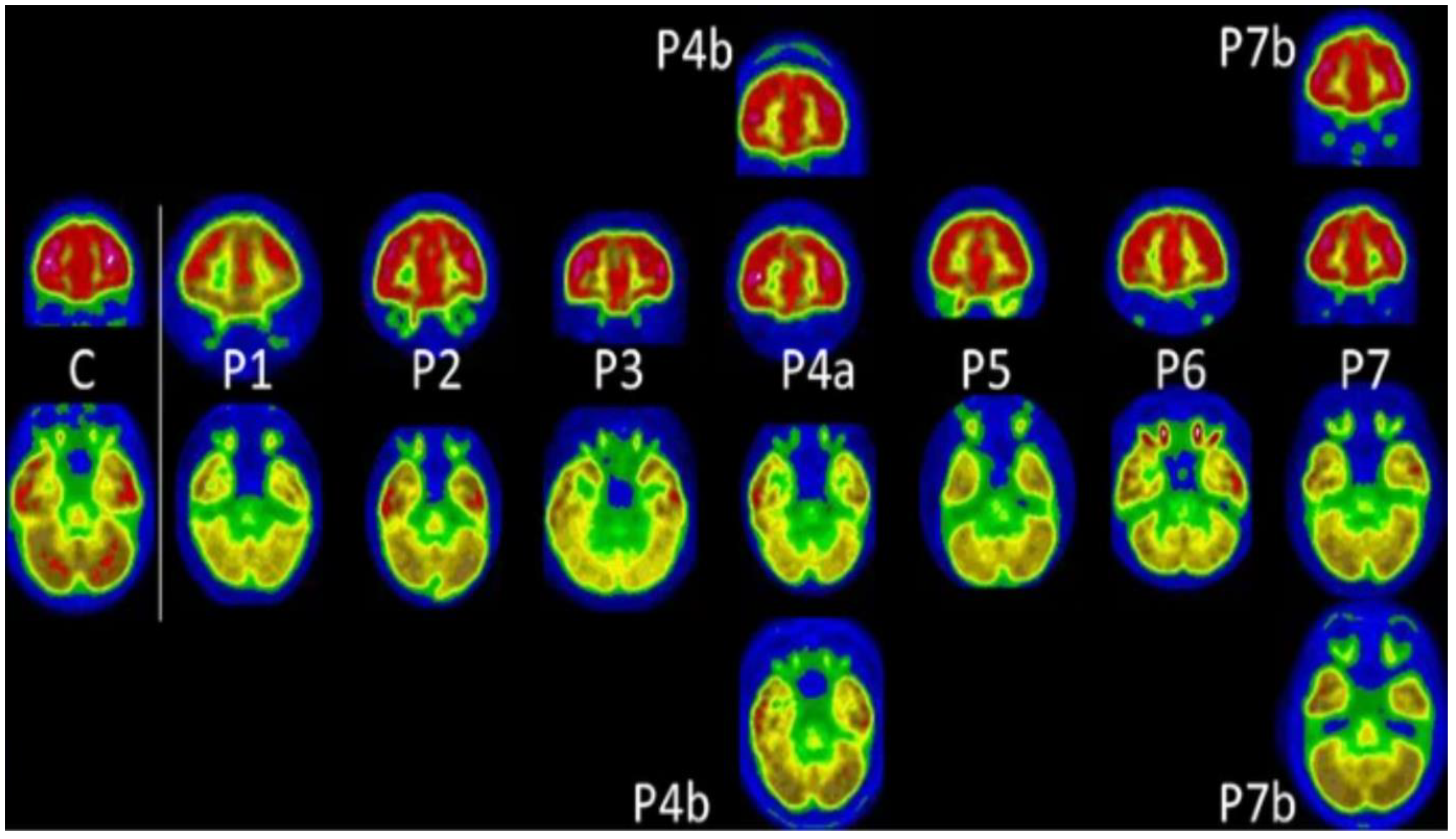 Diagnostics 13 02353 g005