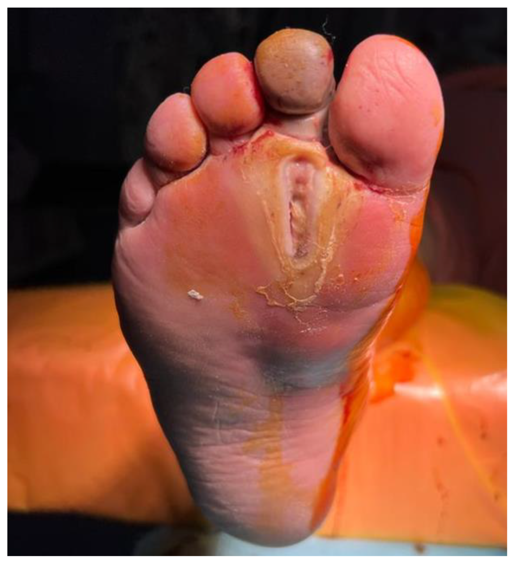 Diagnostics 13 02366 g003