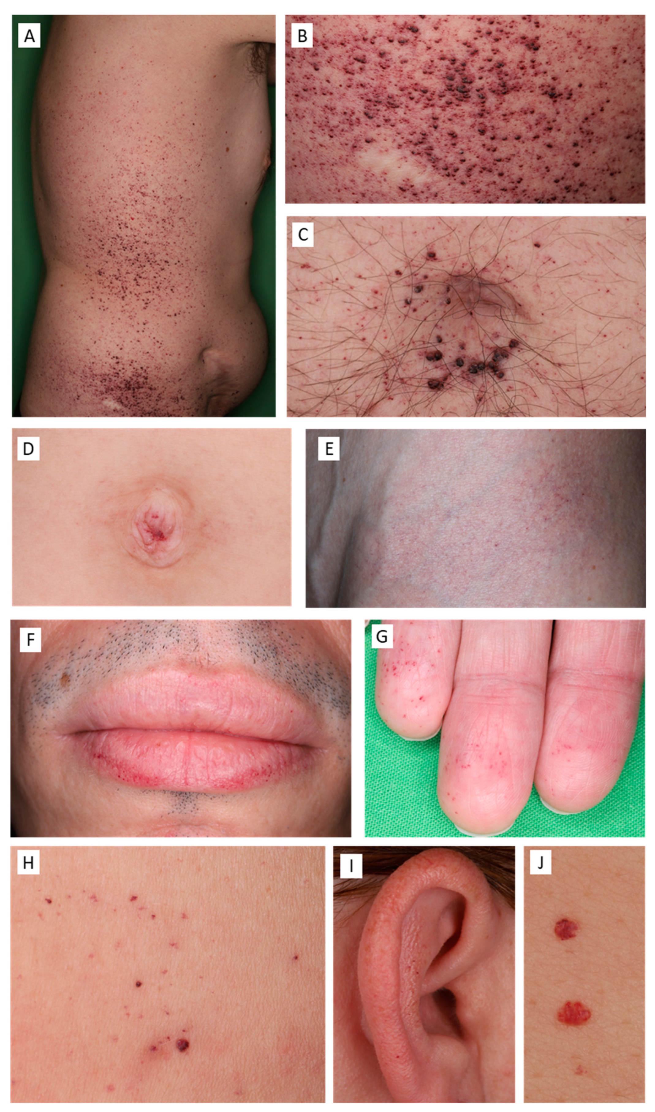 Diagnostics 13 02368 g002