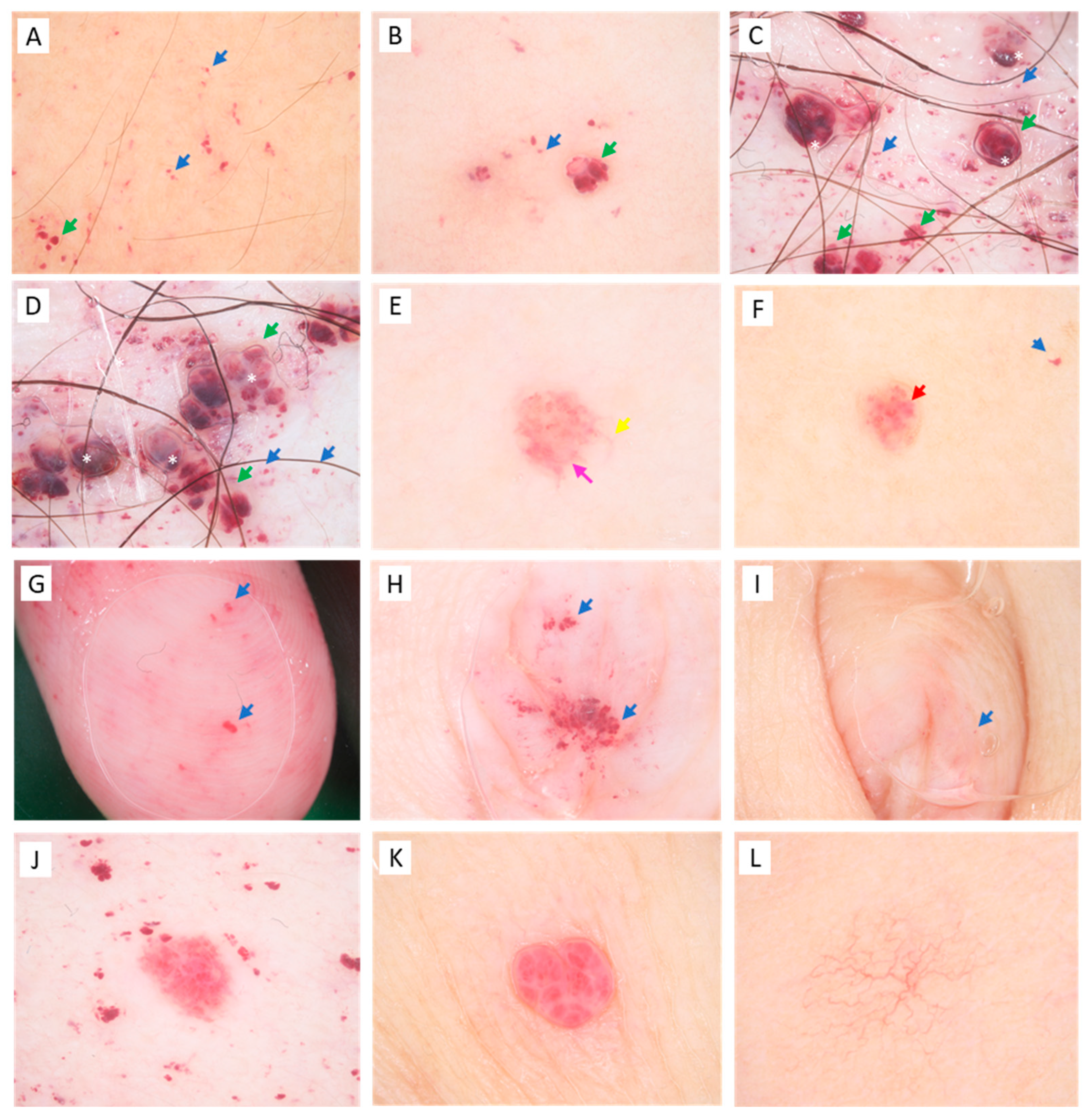 Diagnostics 13 02368 g005