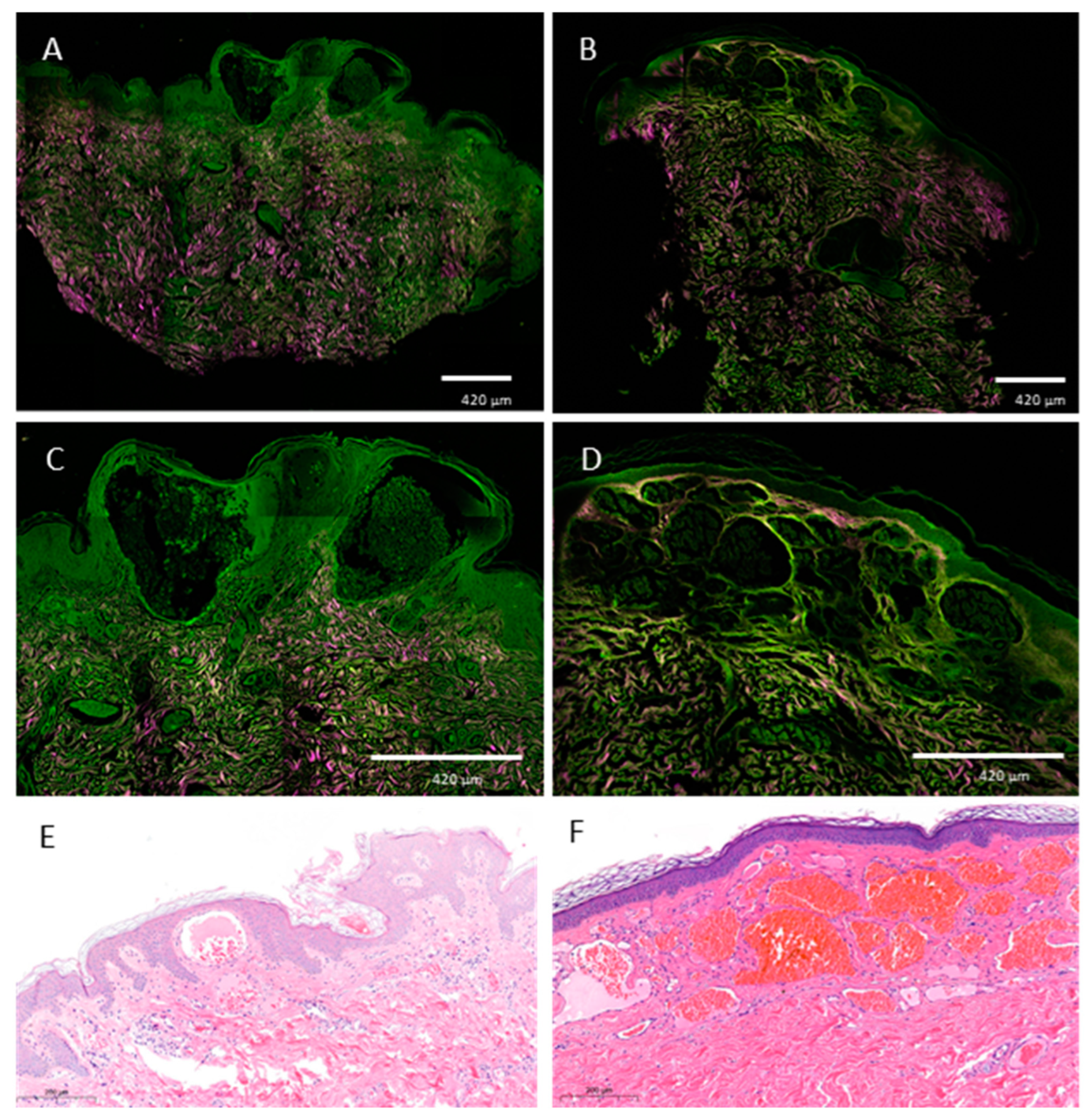 Diagnostics 13 02368 g006